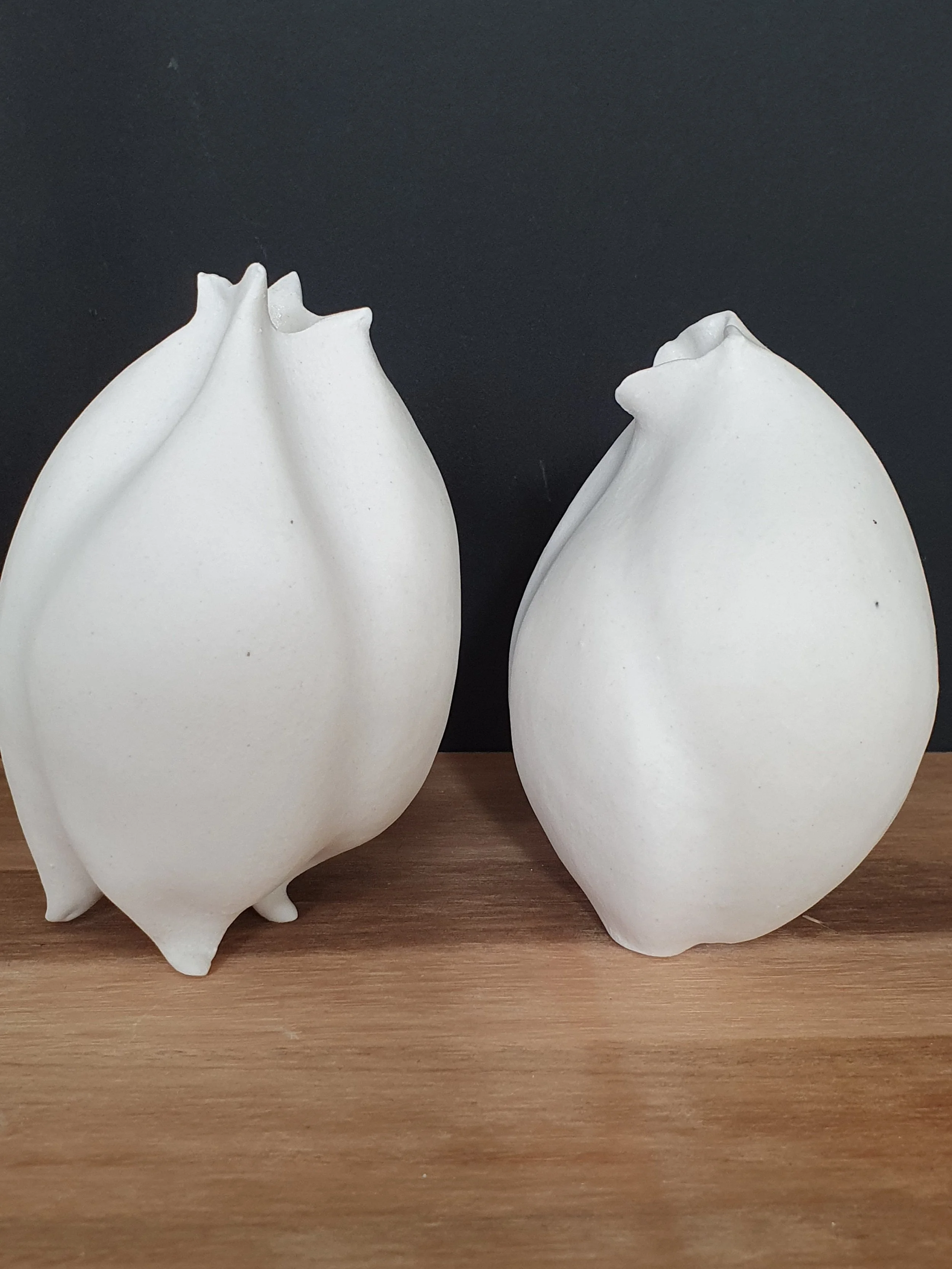 pod vases 1 and 2.jpg