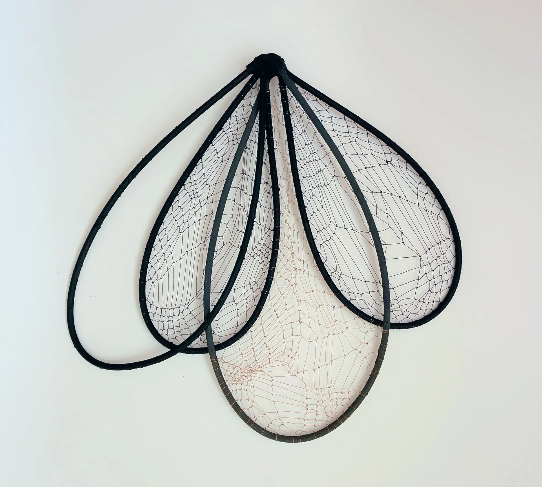 Spirit Wings3_Catriona Pollard.jpeg