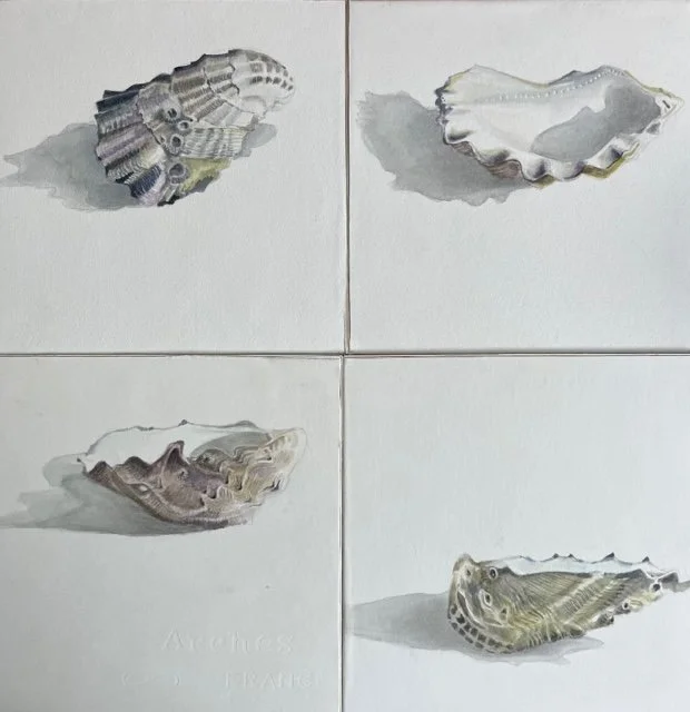 James_Gordon_watercolour_oysters1.jpeg