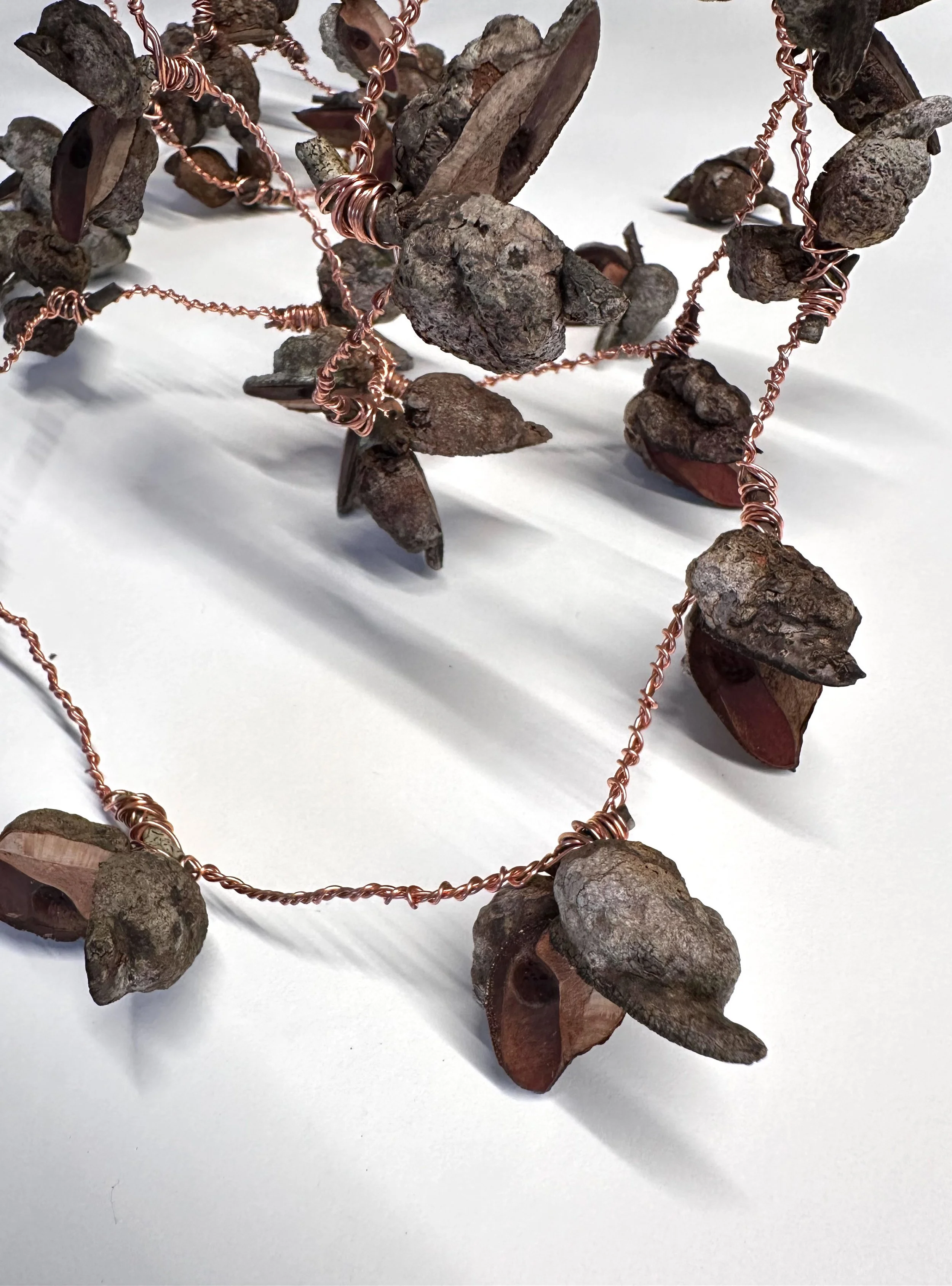 Marie Schlederer_AbundanceI&II_Hairy Hakea-needlebrush seedpodswrapped withCopperwire_Detail.JPEG