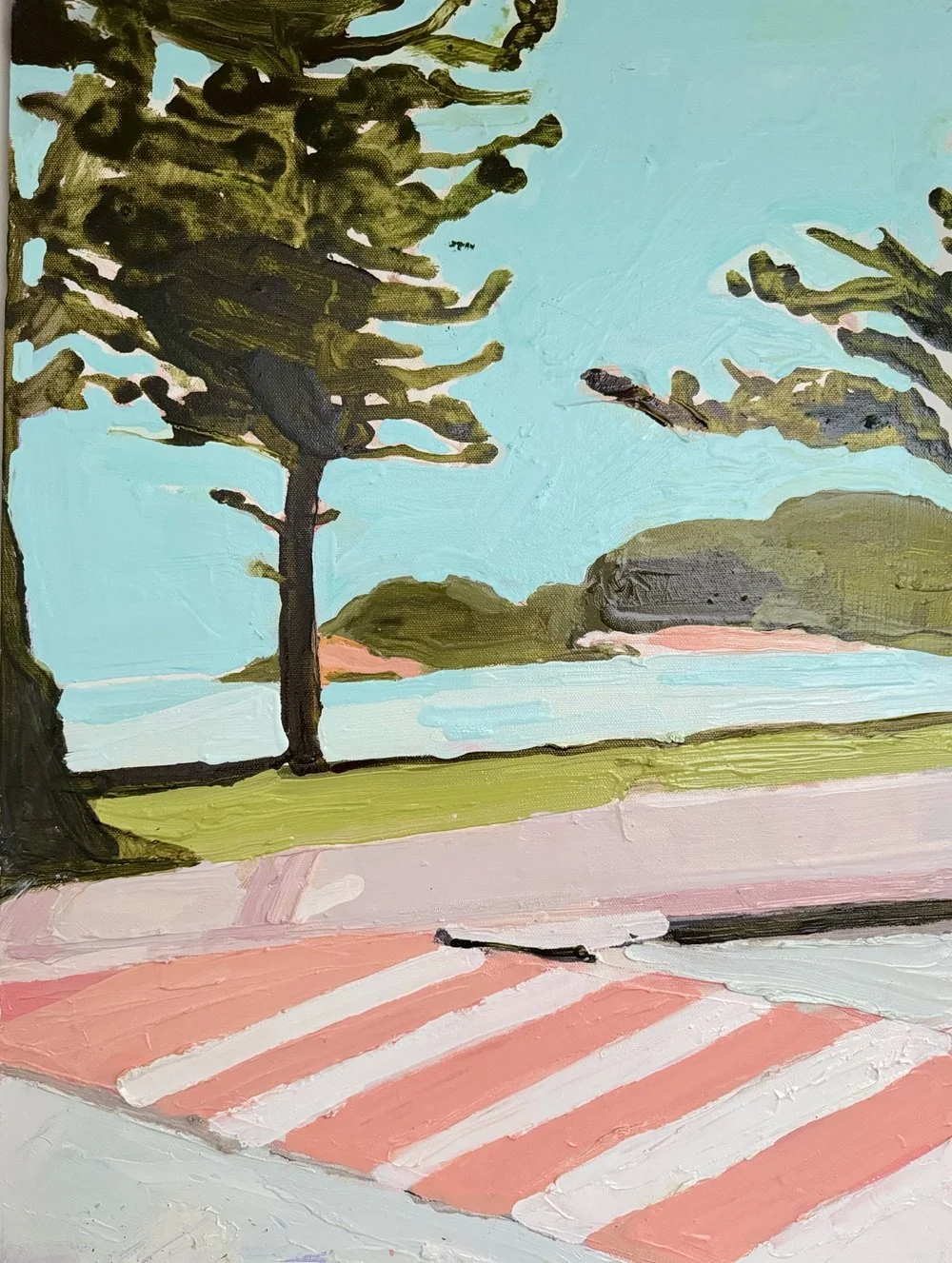 ZEBRA CROSSING