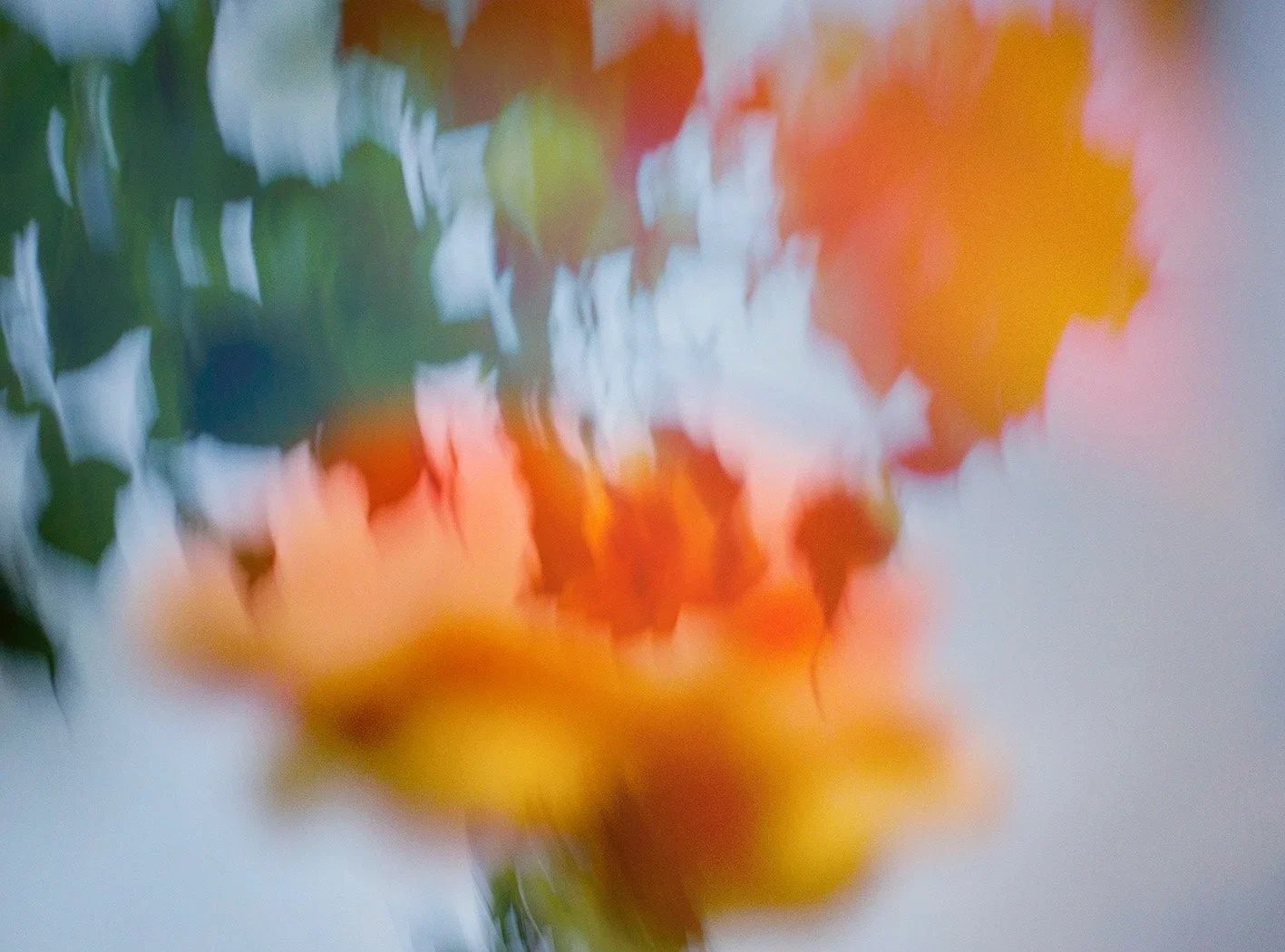 Nanda+Nasser_Sweet+scent+on+the+wind_120x90cm_Photography+on+archival+canvas_framed+in+wood_edition+1of7.jpg.webp