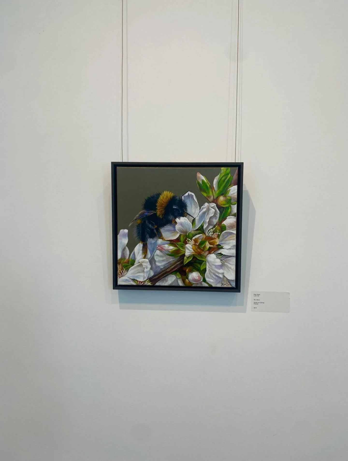 Get to know @katedavisartist she is a Sydney based artist with a background in Archaeology (Macquarie University) and Film (SAE institute). Her work is shaped by a lifelong connection to Australia&rsquo;s native wildlife and inspired by moments in ti