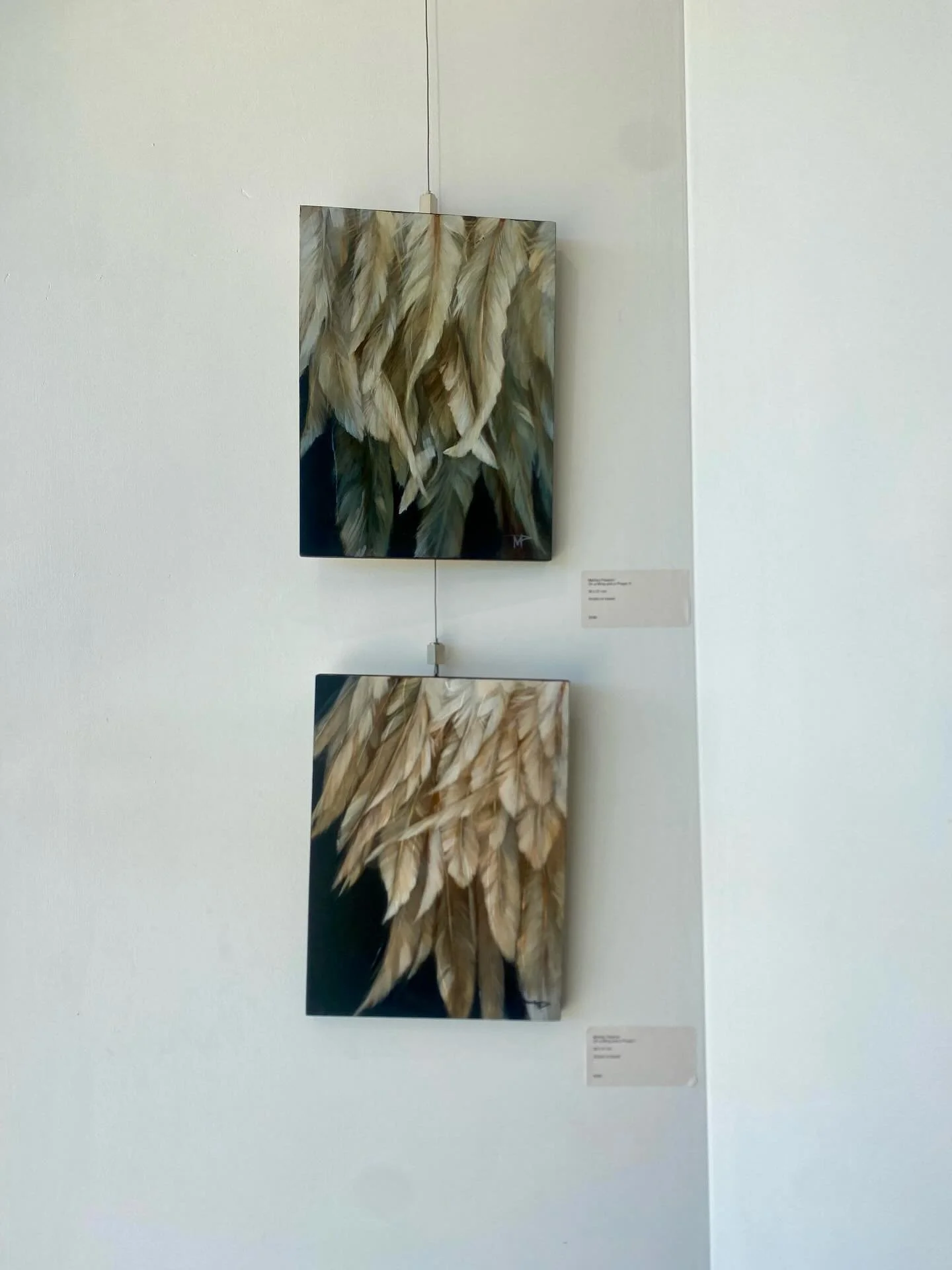 Get to know @mariloupalazonartist one of SRG&rsquo;s directors.

Marilou Palazon is a contemporary Australian artist who has been painting large-scale botanicals, Australian Birds, and water themes for over 20 years. She treats them more like dramati