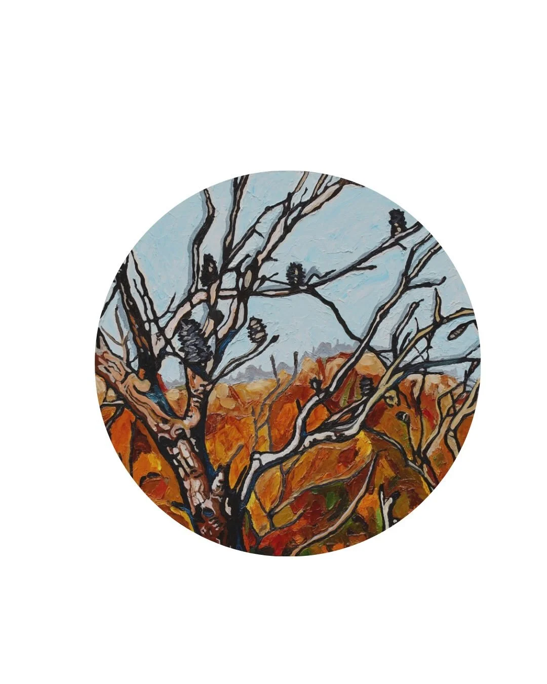 Our newest show commences tomorrow! &lsquo;Close Far Inbetween&rsquo; is a duo show by @bykimdehaan and @mark.eland.artworks

&lsquo;Close, Far, In Between&rsquo; brings together two artists who share a deep connection to the Northern Beaches landsca