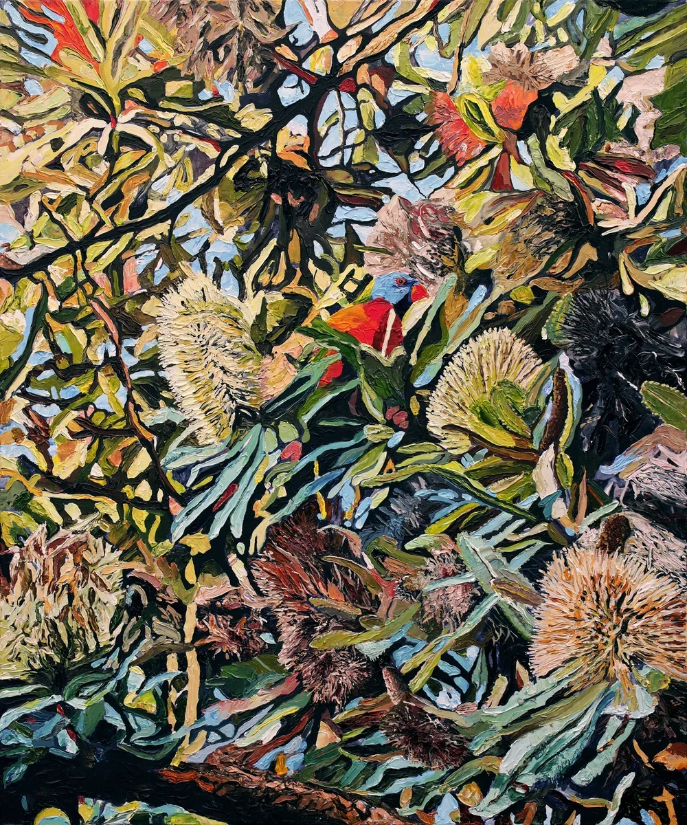Lorikeet on Iluka Ave