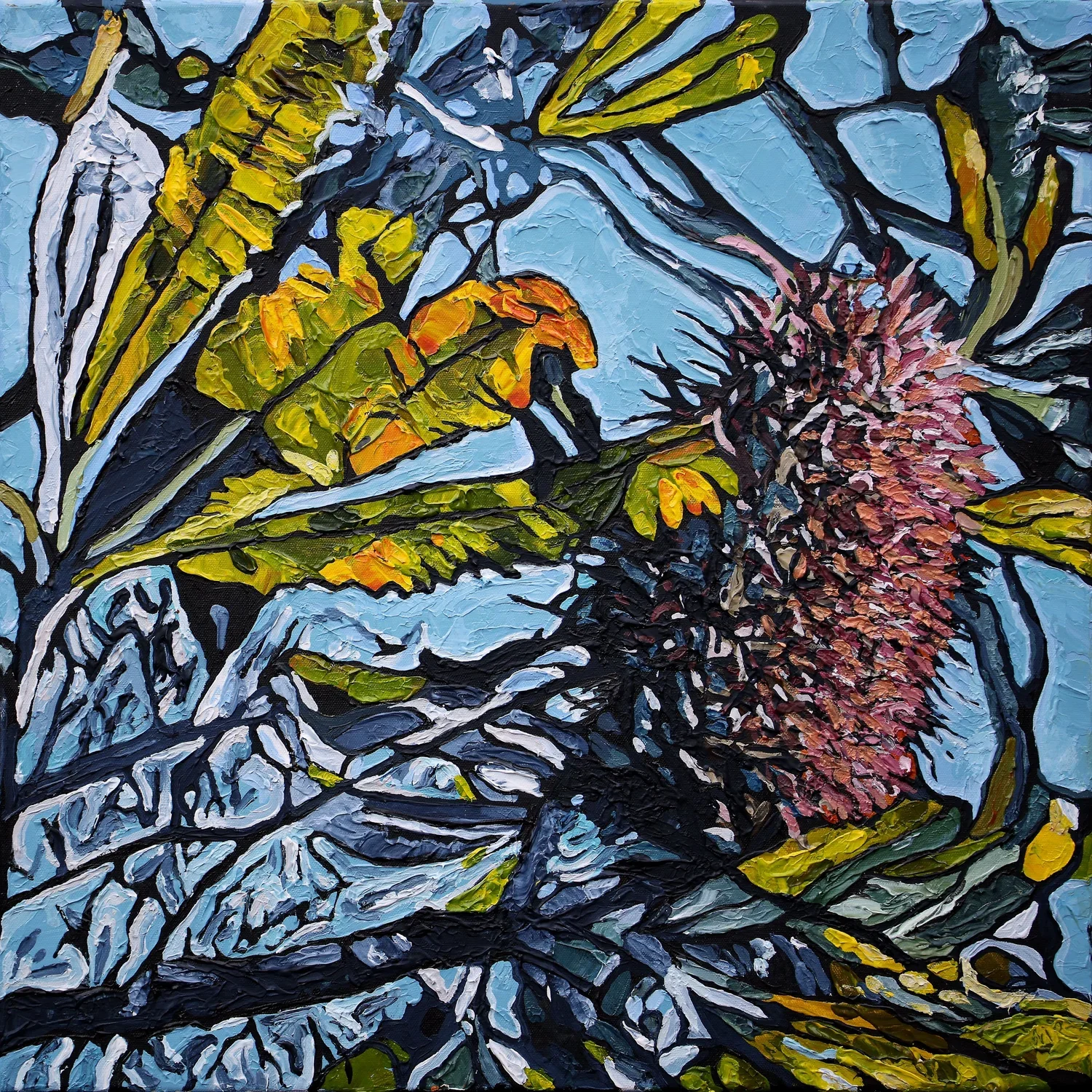 Bantry Bay Banksia