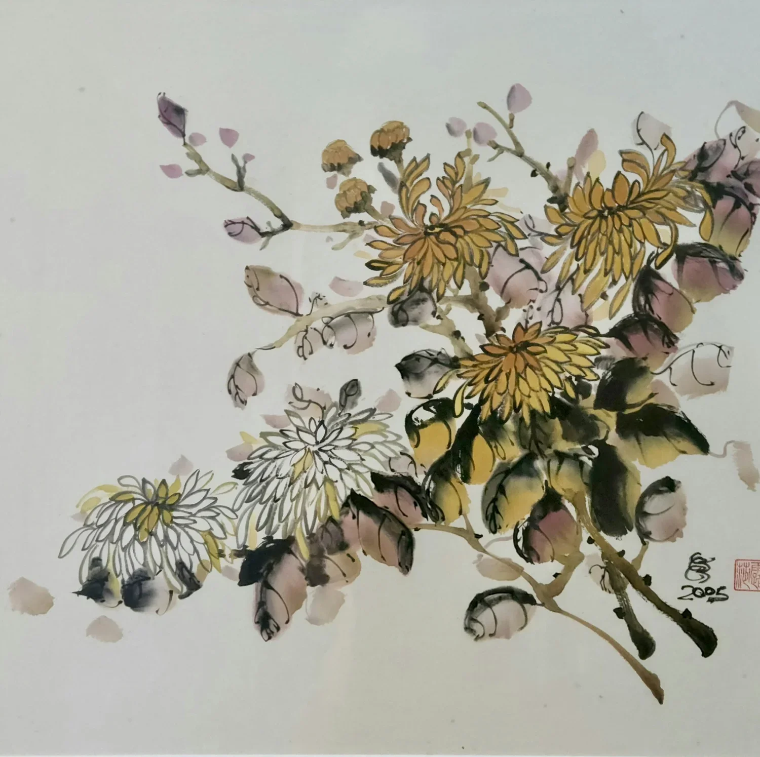 Crysanthemums