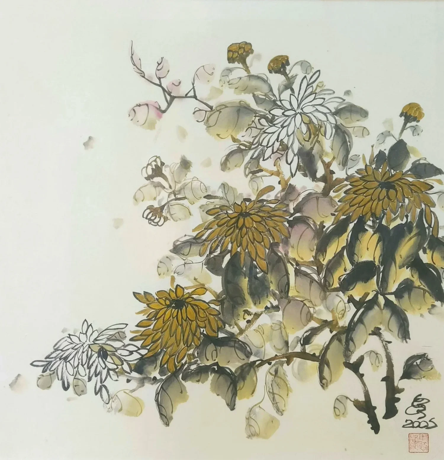 Chrysanthemums II