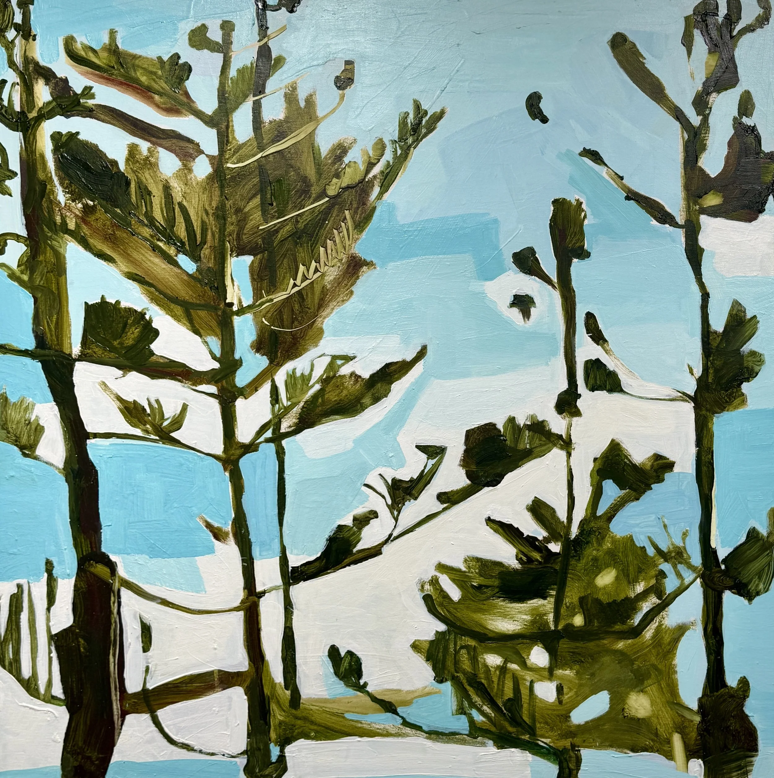 Tree Tops