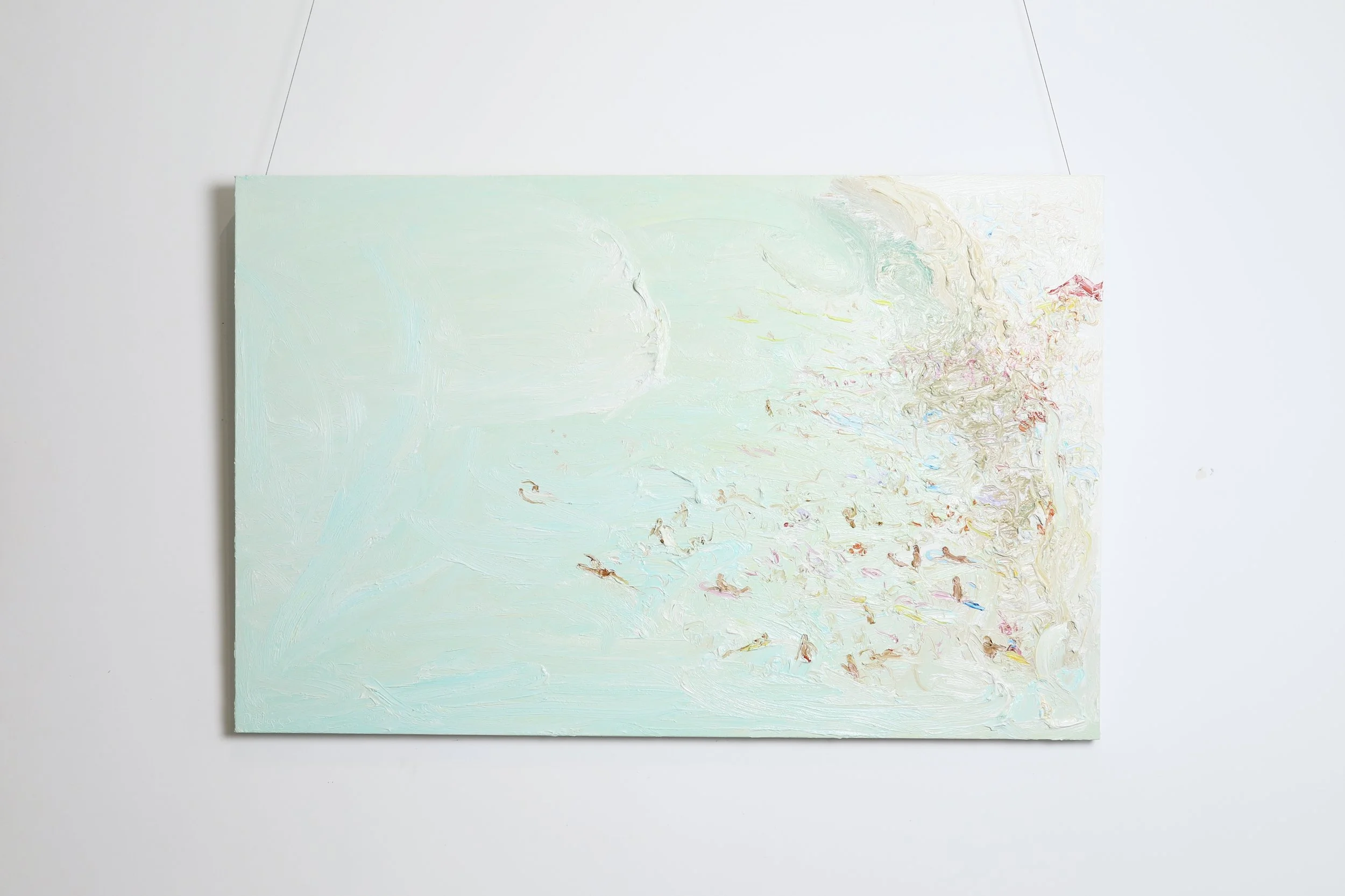 SymphonyofNature-DavidWiggs 33.jpg