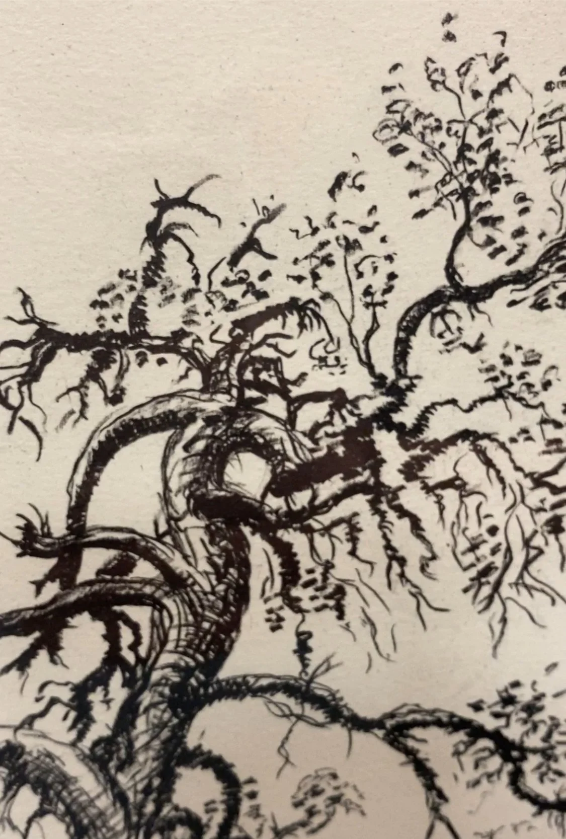 Tim Witney_CypressPine_waterless_litho_detail.jpeg