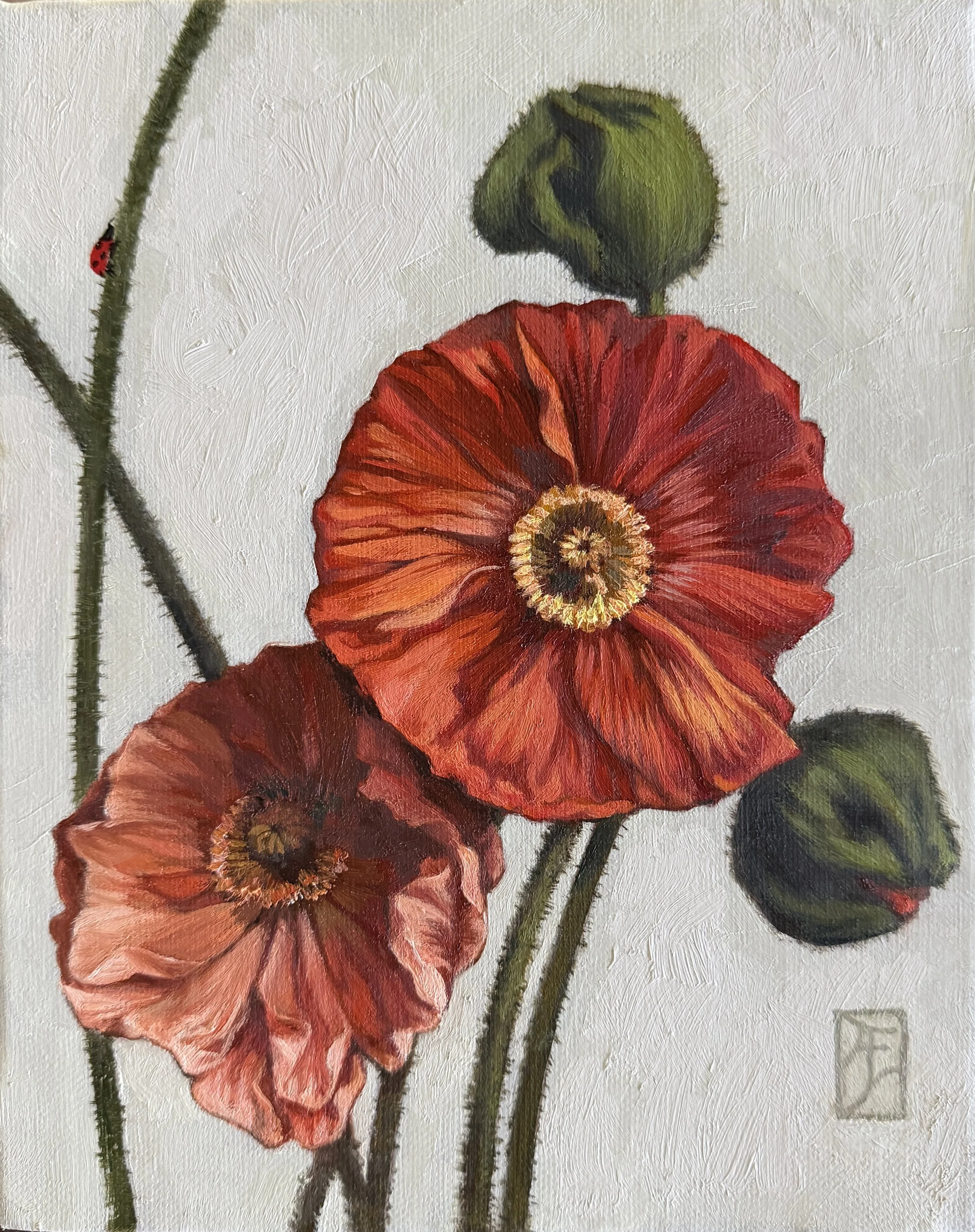 Ali Werbeloff_Poppies_25x20cm_oil on canvas_unframed_$430.JPG
