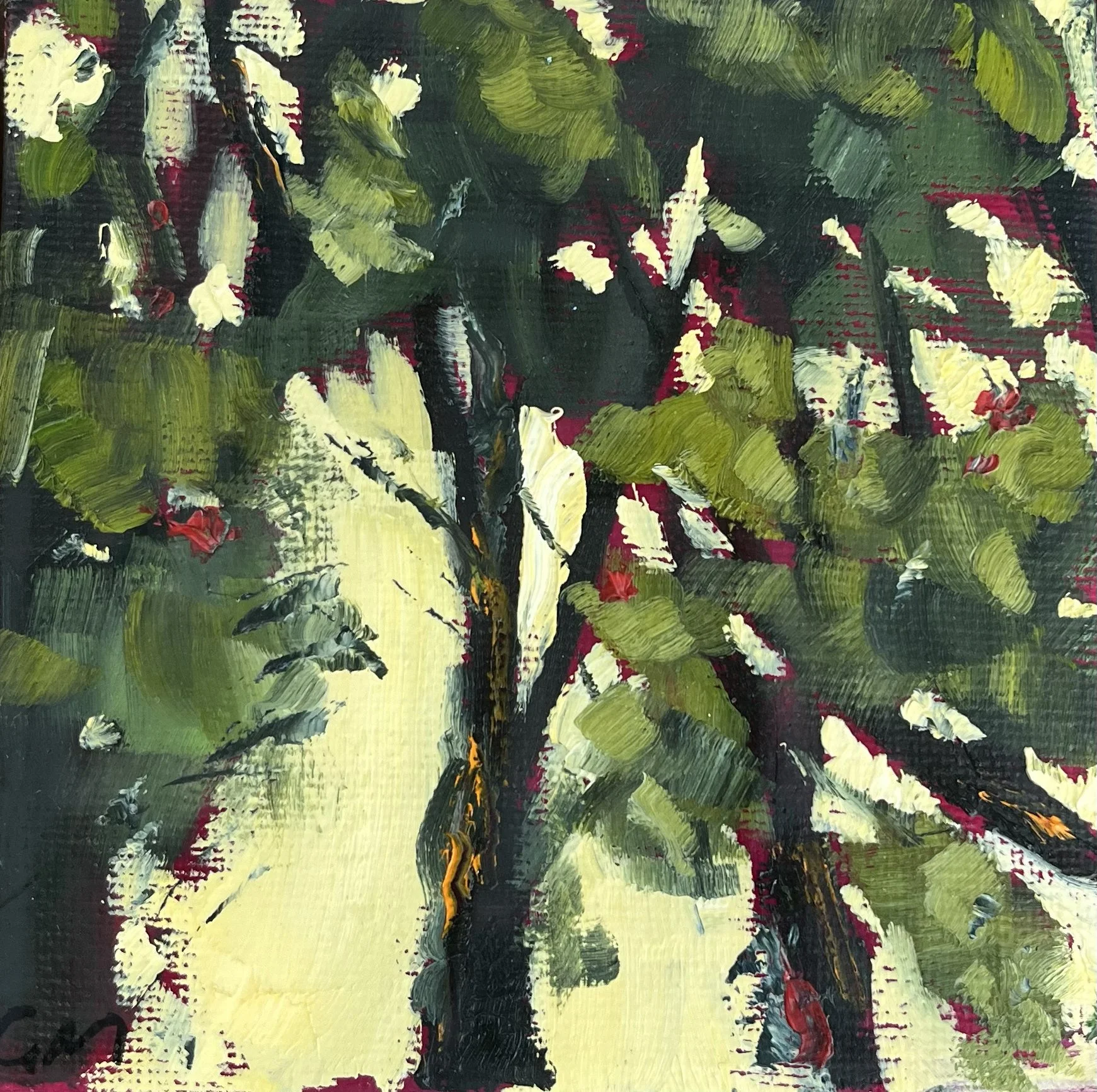 Mckenzie_Through the Trees 1_12x12cm_Oil on Canvas Board_Framed Tasmanian Oak_$295.jpg