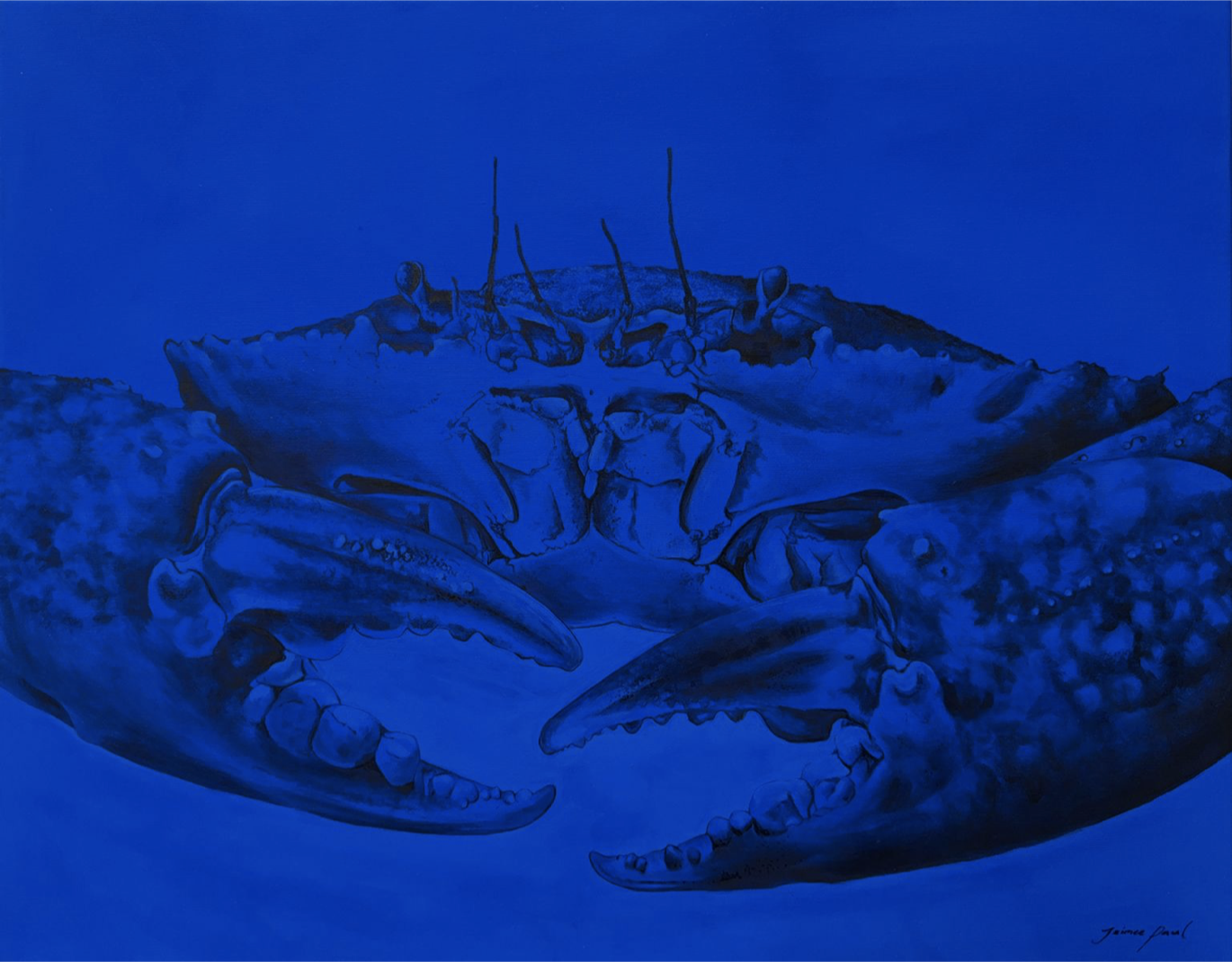 Screenshot 2025-02-01 at 10.49.20 am.png