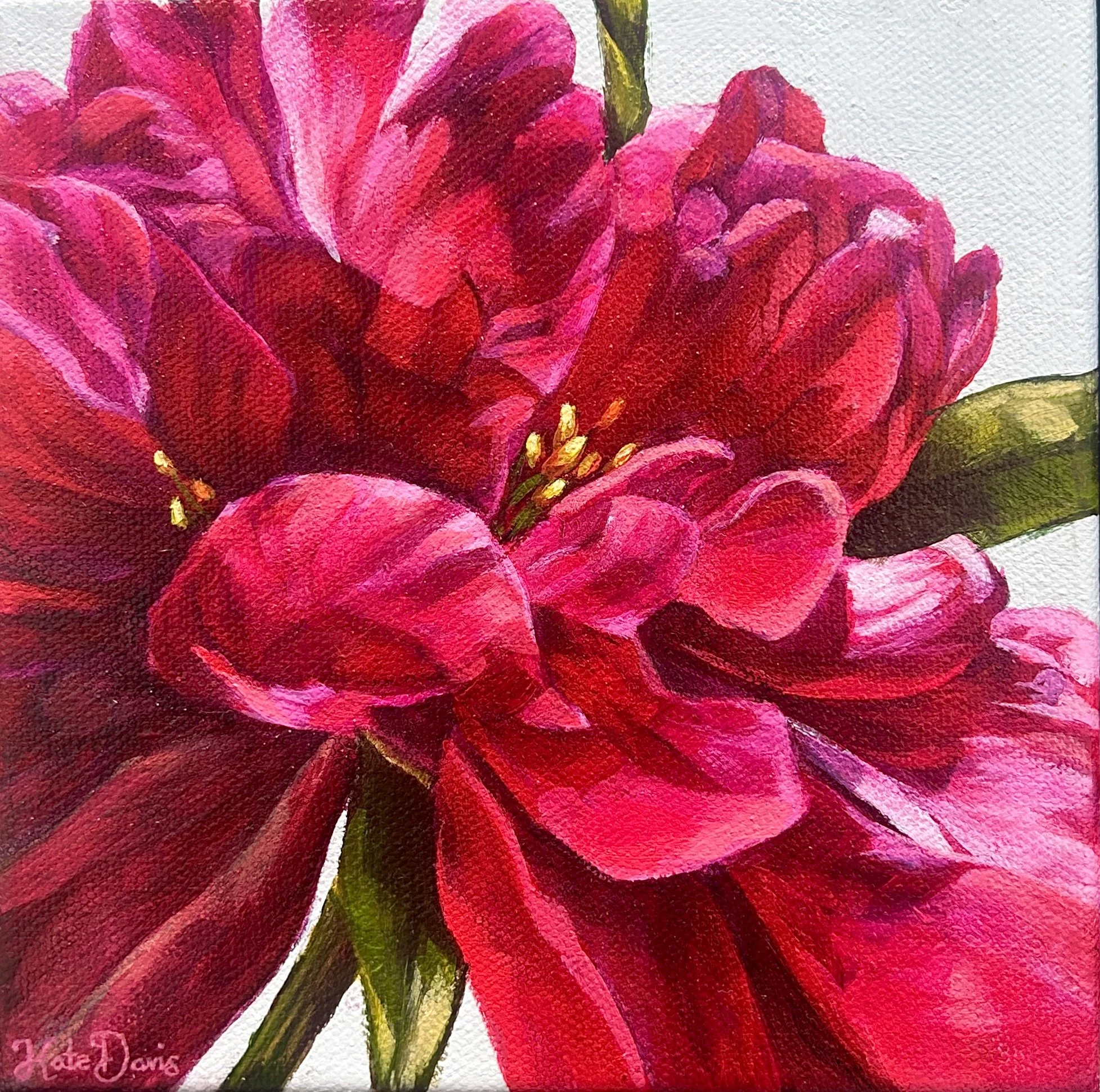 Kate Davis_Breathe_15 x 15cm_Acrylic on Canvas_Framed in Wenge_$250.jpg