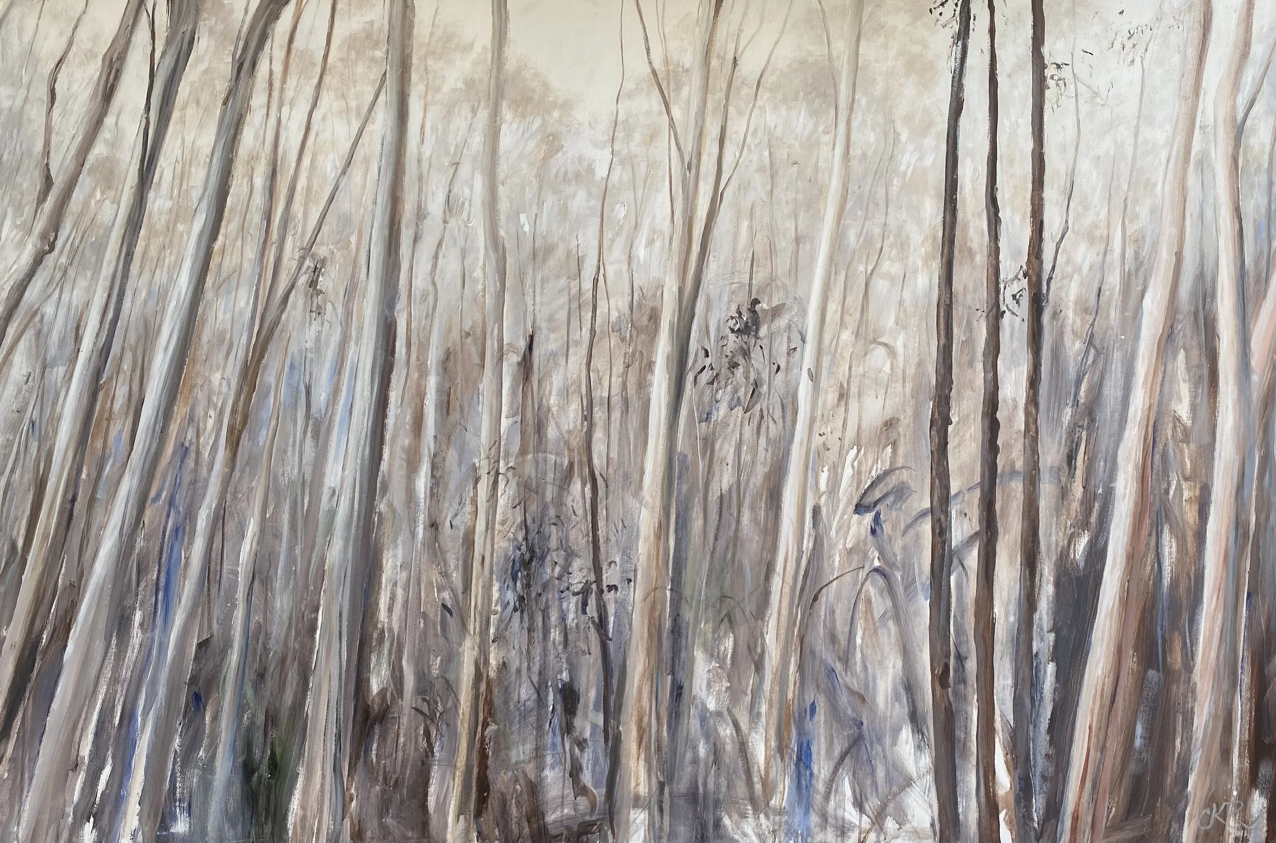 Col Ritchie _Umber Tall Timbers_acrylic paint on canvas_1170mm x 1800mm_$2500.jpeg