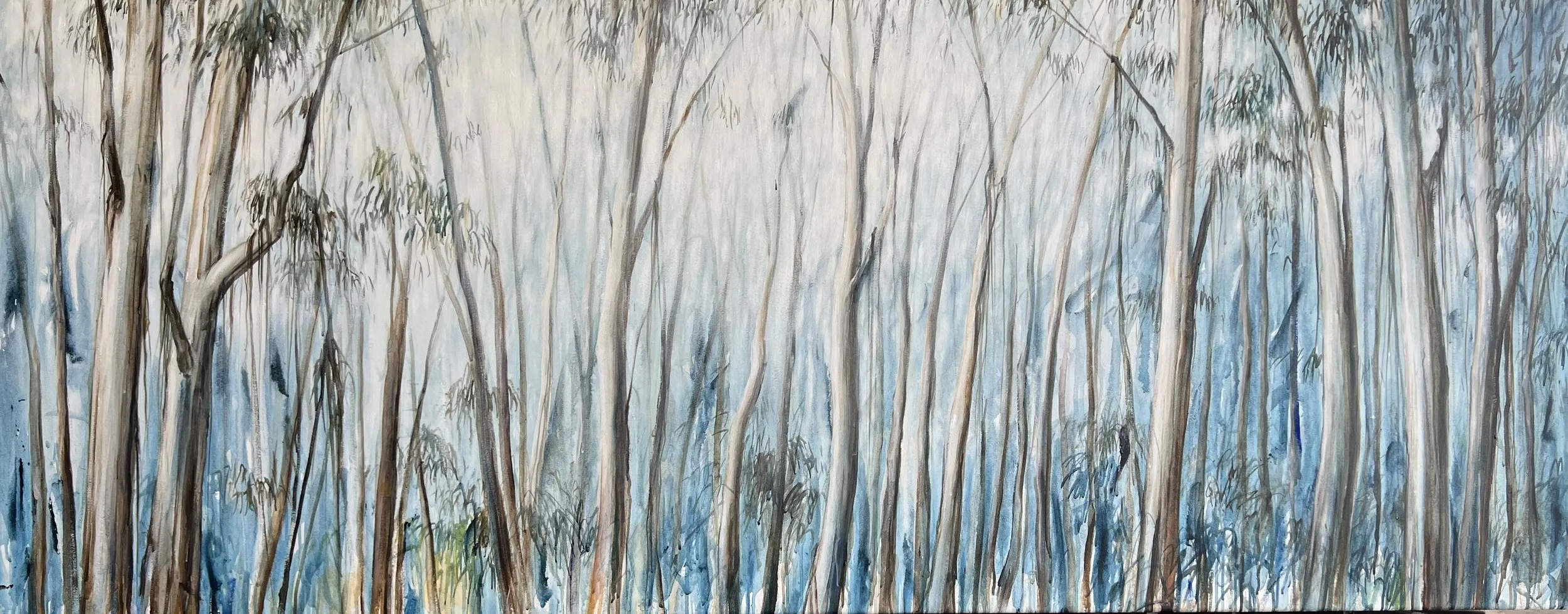 Col Ritchie_Blue Gum Dreaming_acrylic paint on canvas_ 820mm x1980mm_$2750 .jpg