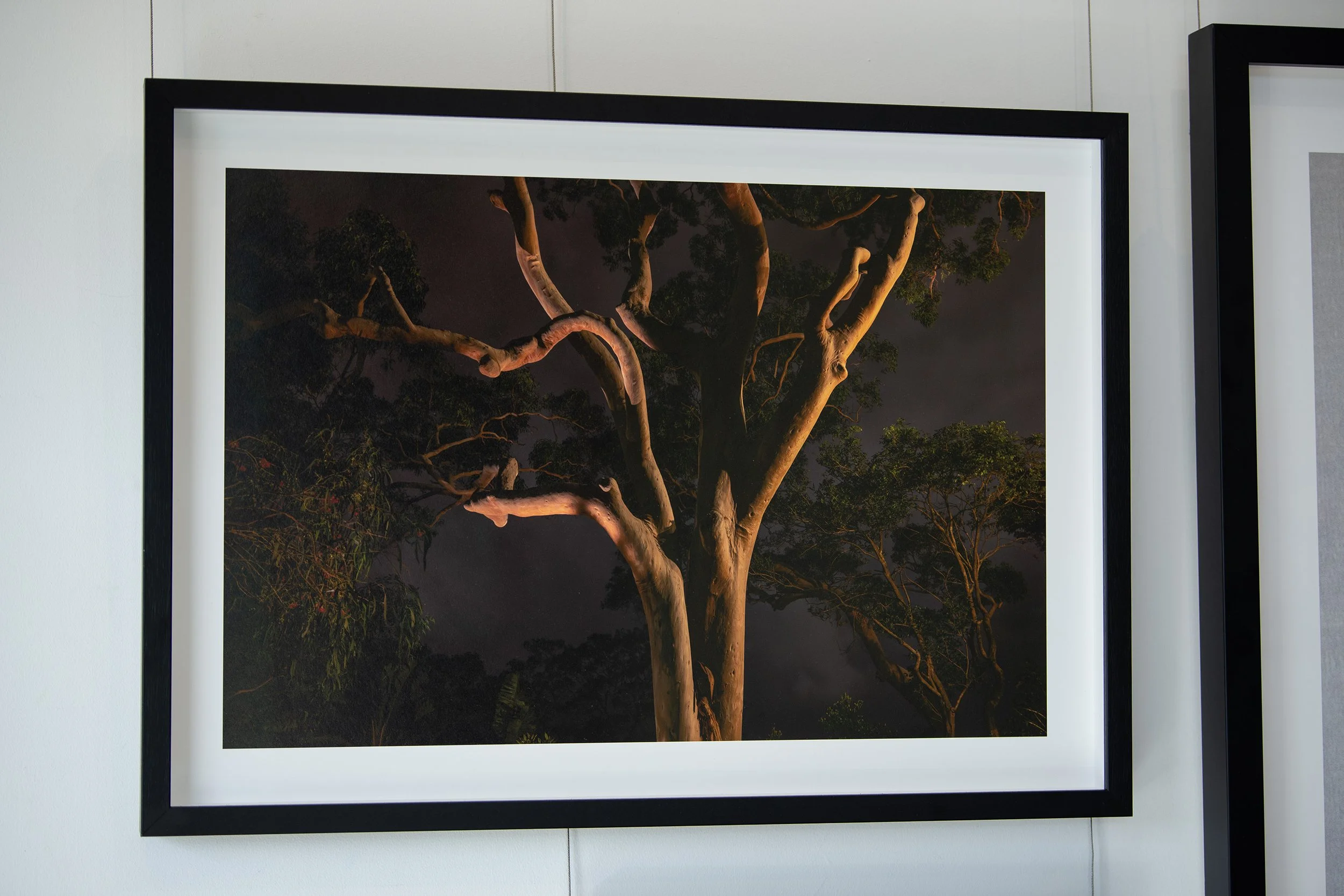 Jennifer Blau_framed_2_web.jpg