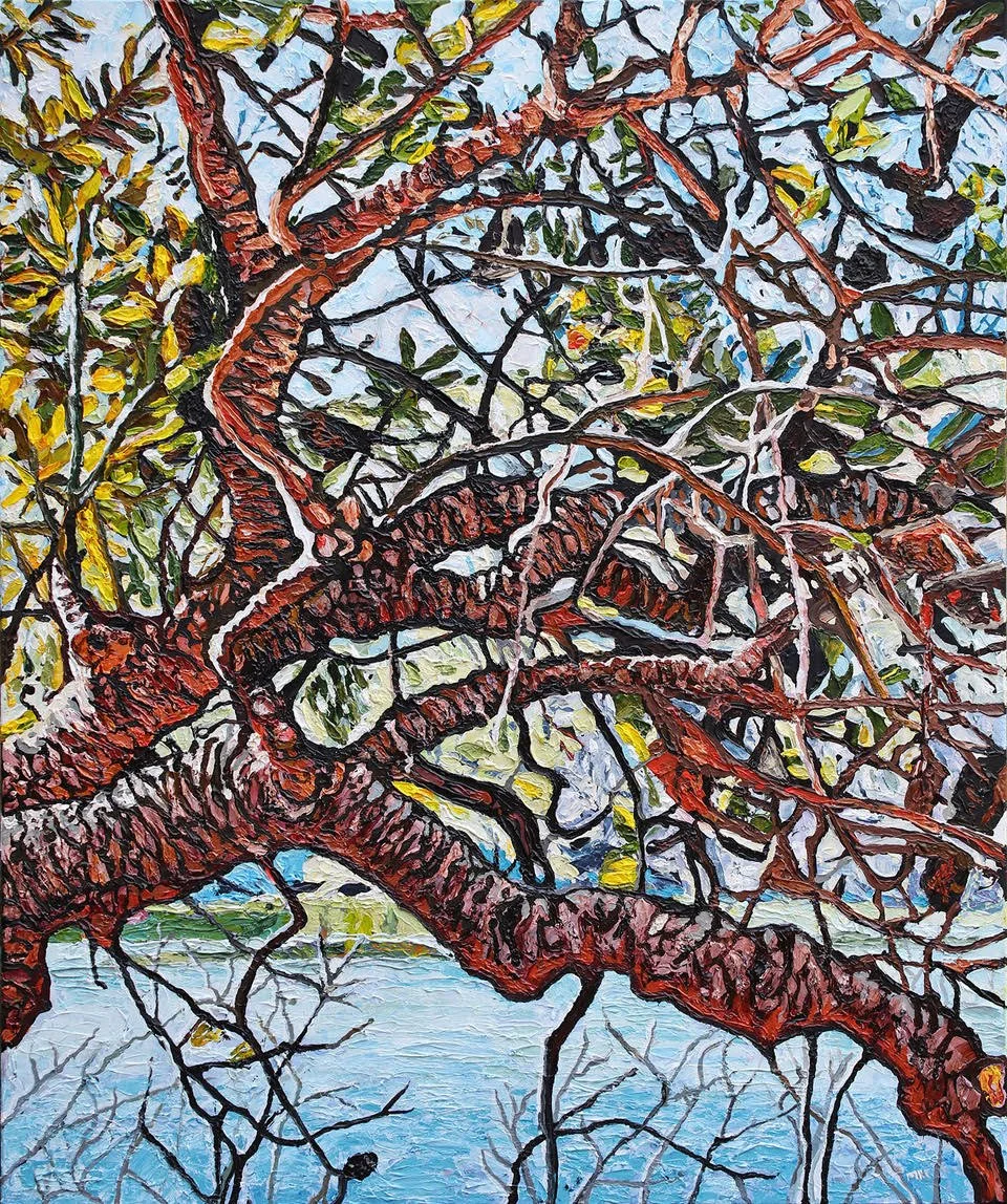 Mark Eland - Sunlit Bantry Bay Banksia.jpg