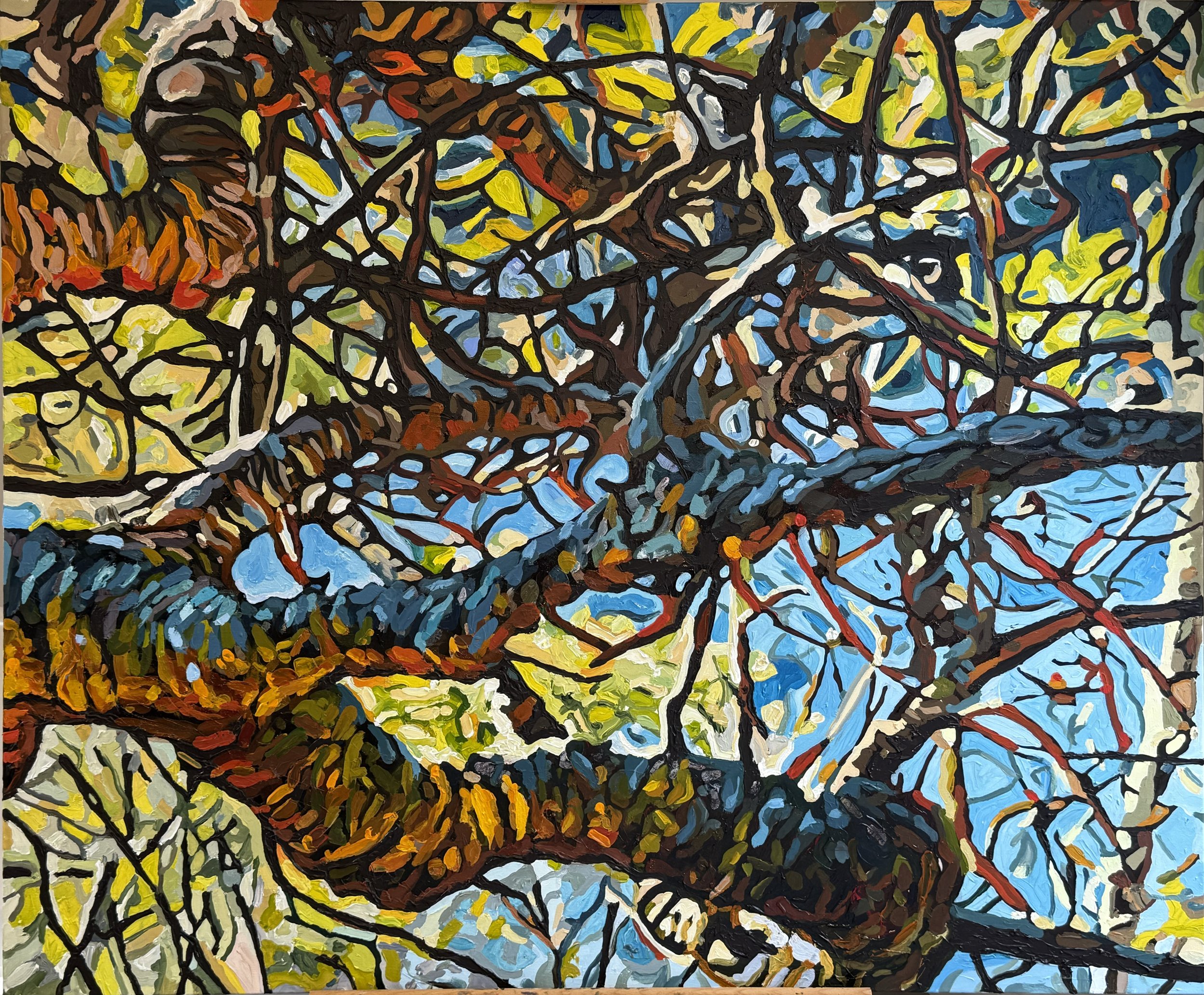 MarkEland_BanksiaBranchesBantryBay_Acrylic_Canvas_112x102cm_Framed_3365.jpg