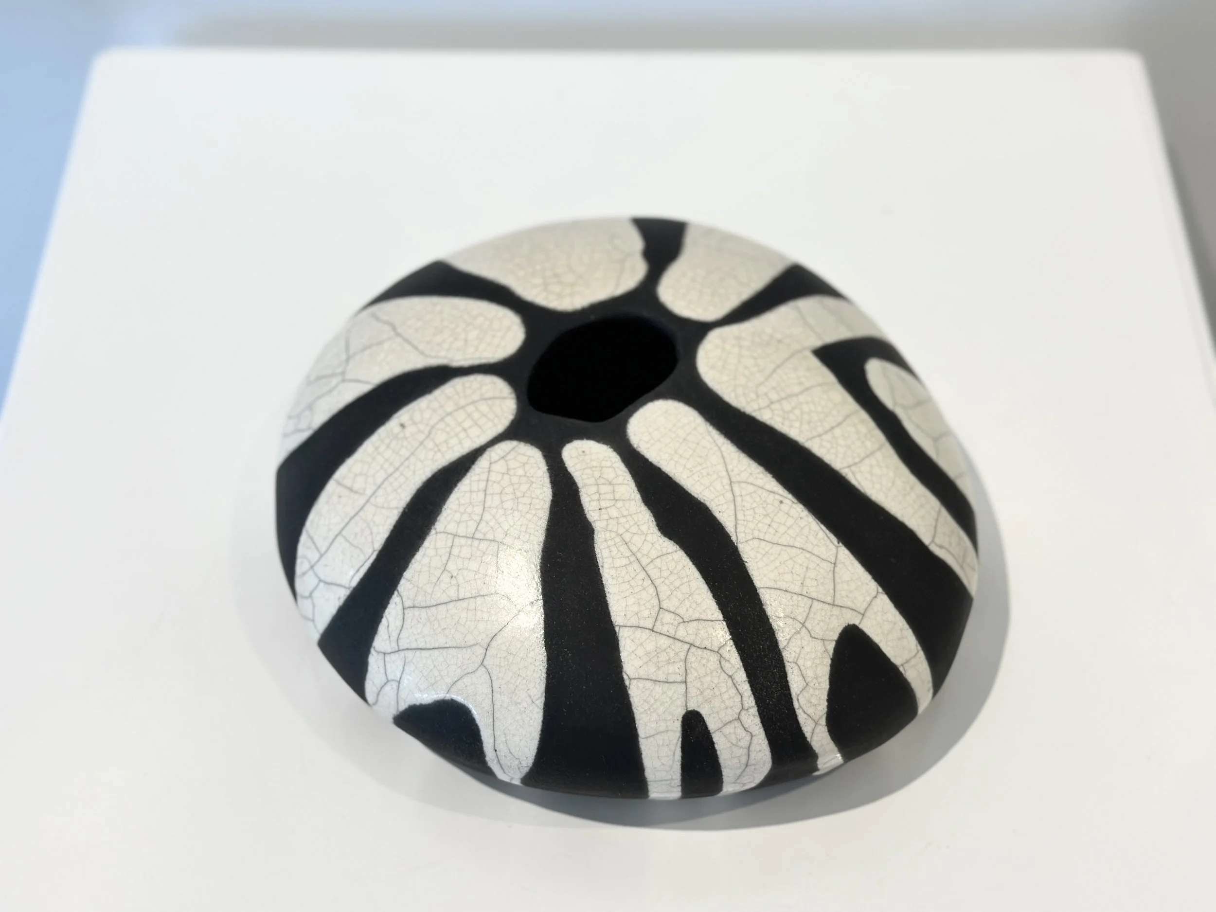 Sarah Larrett Safari 4b.jpg