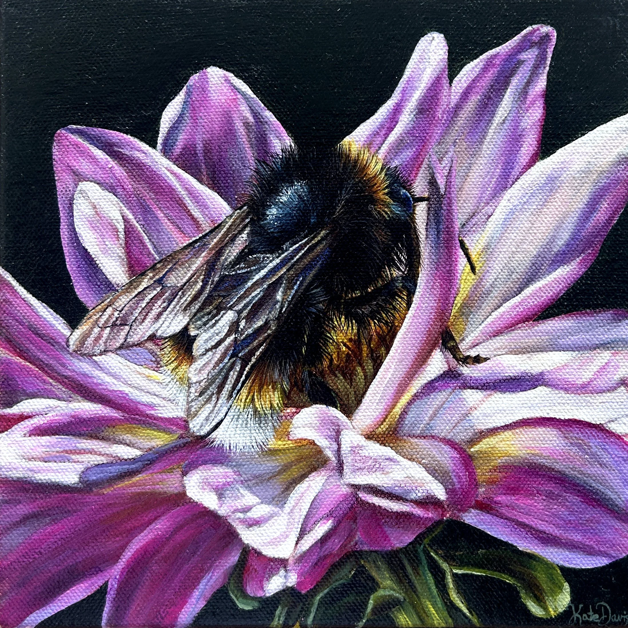 Kate Davis_Pretty Please_ Acrylic on Canvas_ 20 x 20 cm_ Framed_ $380.jpeg