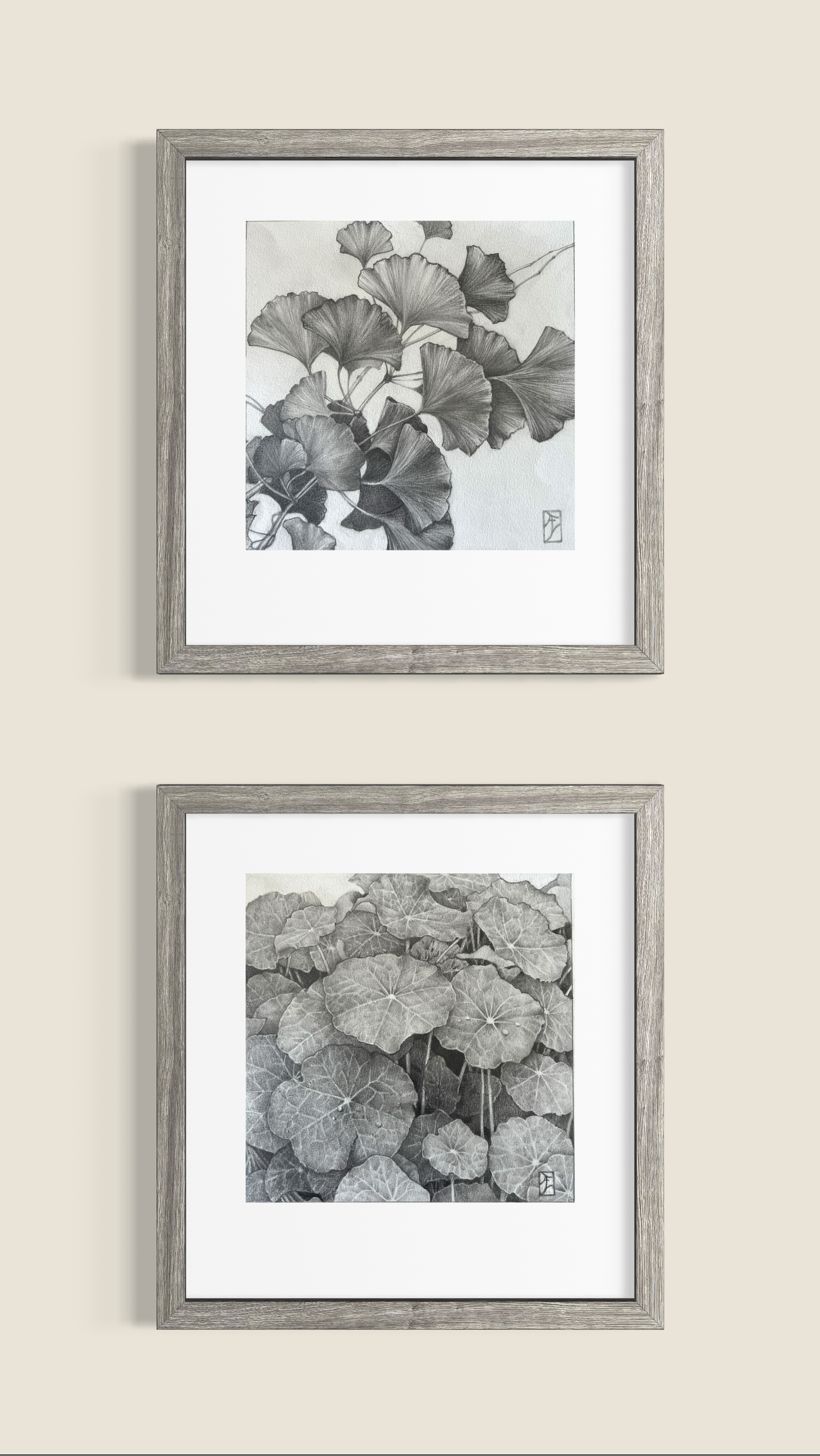 Ali Werbeloff  in situ.PNG