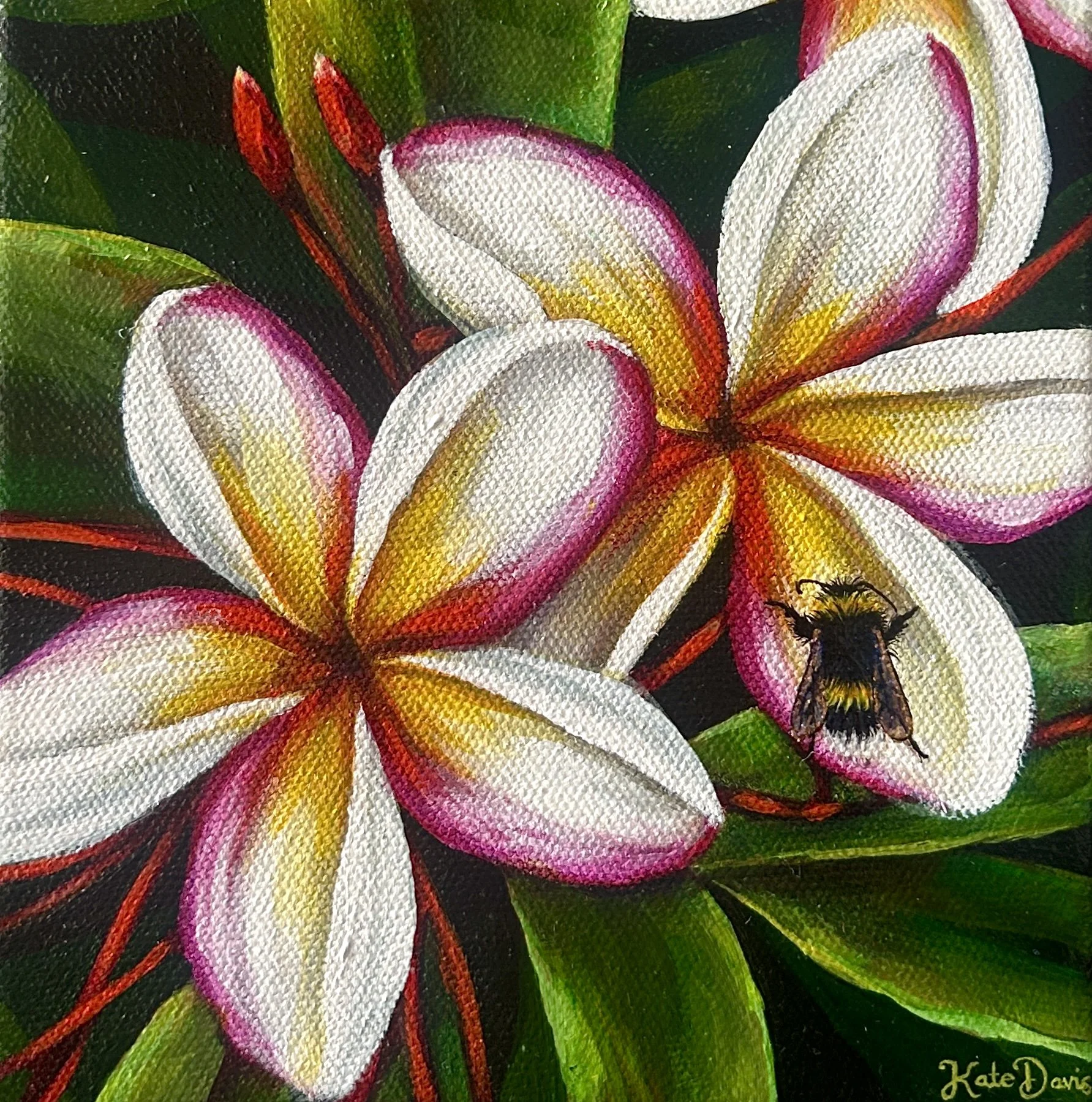 Kate Davis_Time Moves Slow_15 x 15cm_Acrylic on Canvas_Framed in Wenge_$250.jpg