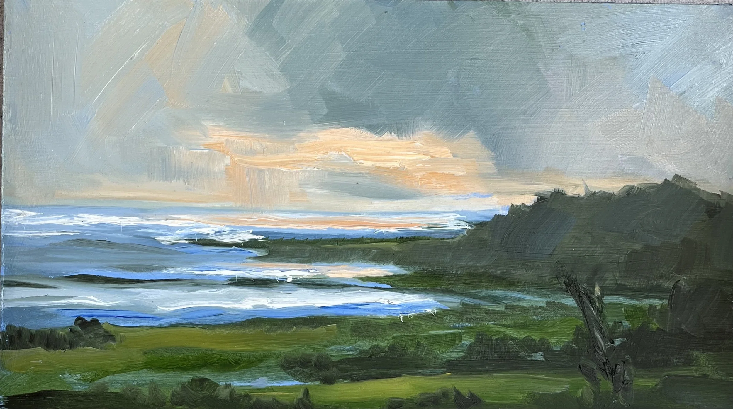 Mckenzie_South Coast_15x25cm_Oil on Board_Framed Tasmanian Oak_$450.jpeg