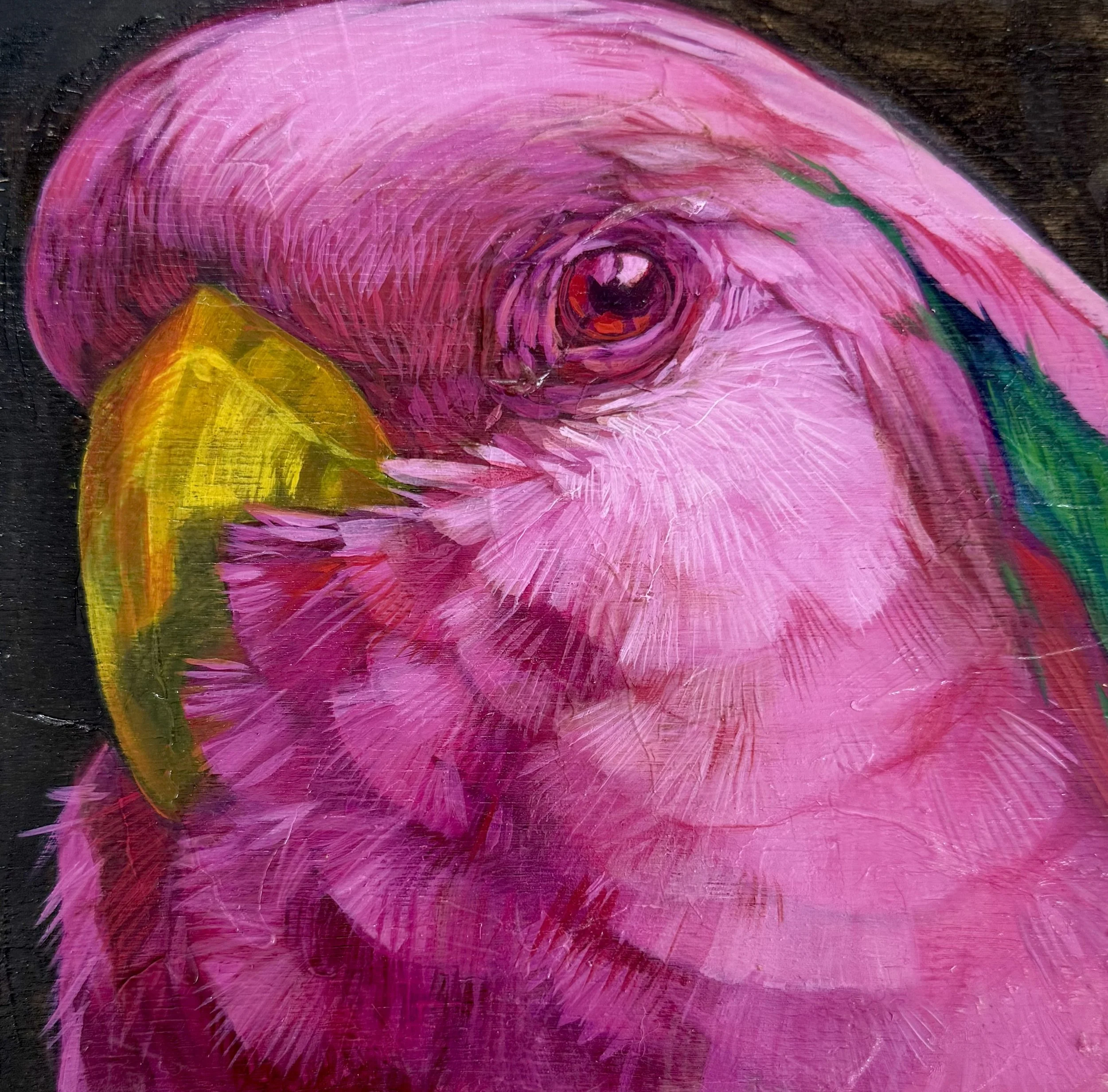 Marilou Palazon “Pink Cockatoo” 25x35cmAcrylic on board Perspex box frame $450.jpg