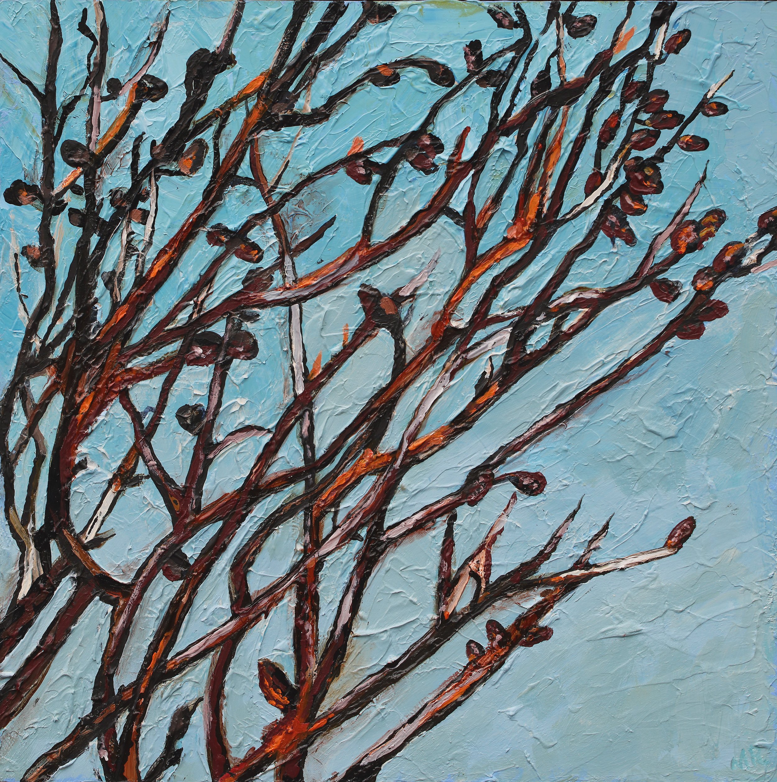 MarkEland_HeadlandBanksiaII_42x42cm_$550_AcryliconBoard_framed.jpg