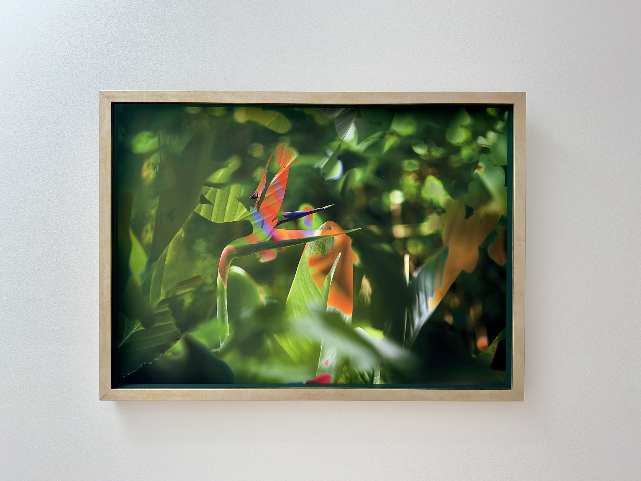 Nanda Nasser_Familiarity_framed_web.jpg