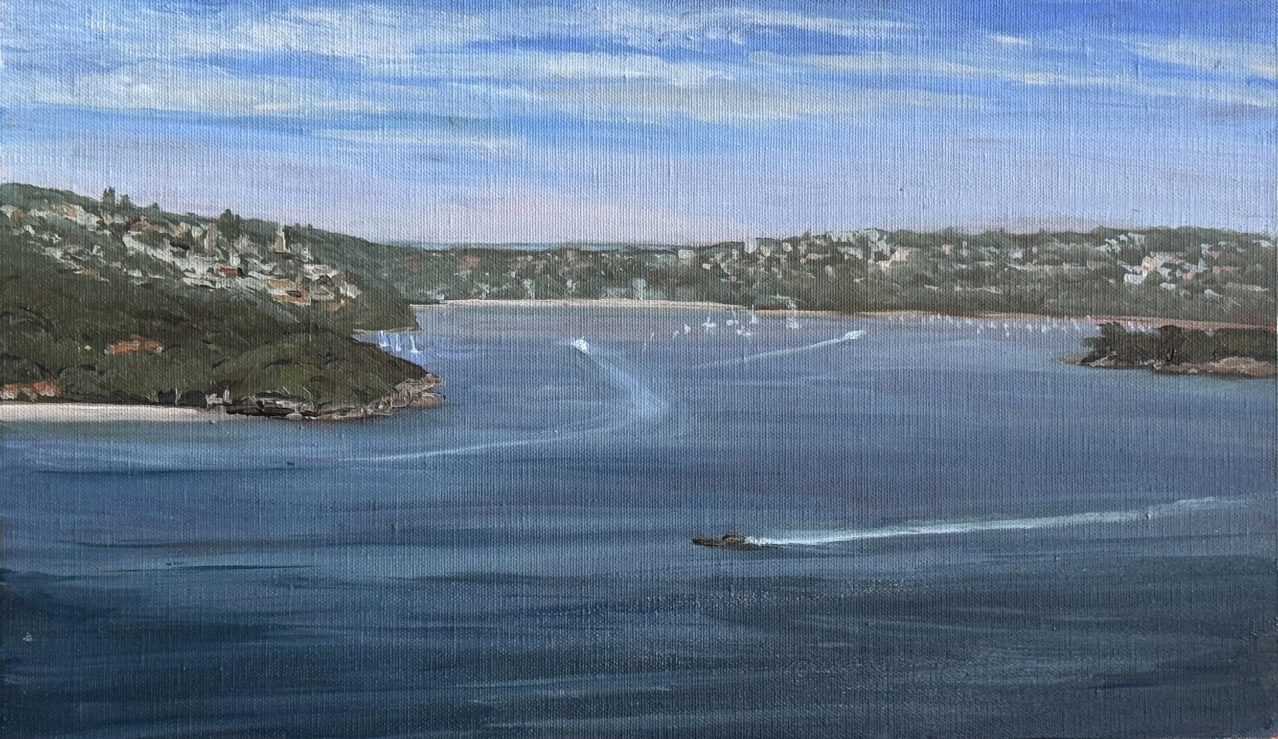 Lindie_Treleaven_Speeding past Neilsen Park - plein air_33x20cm_$395_framed_HR.jpeg