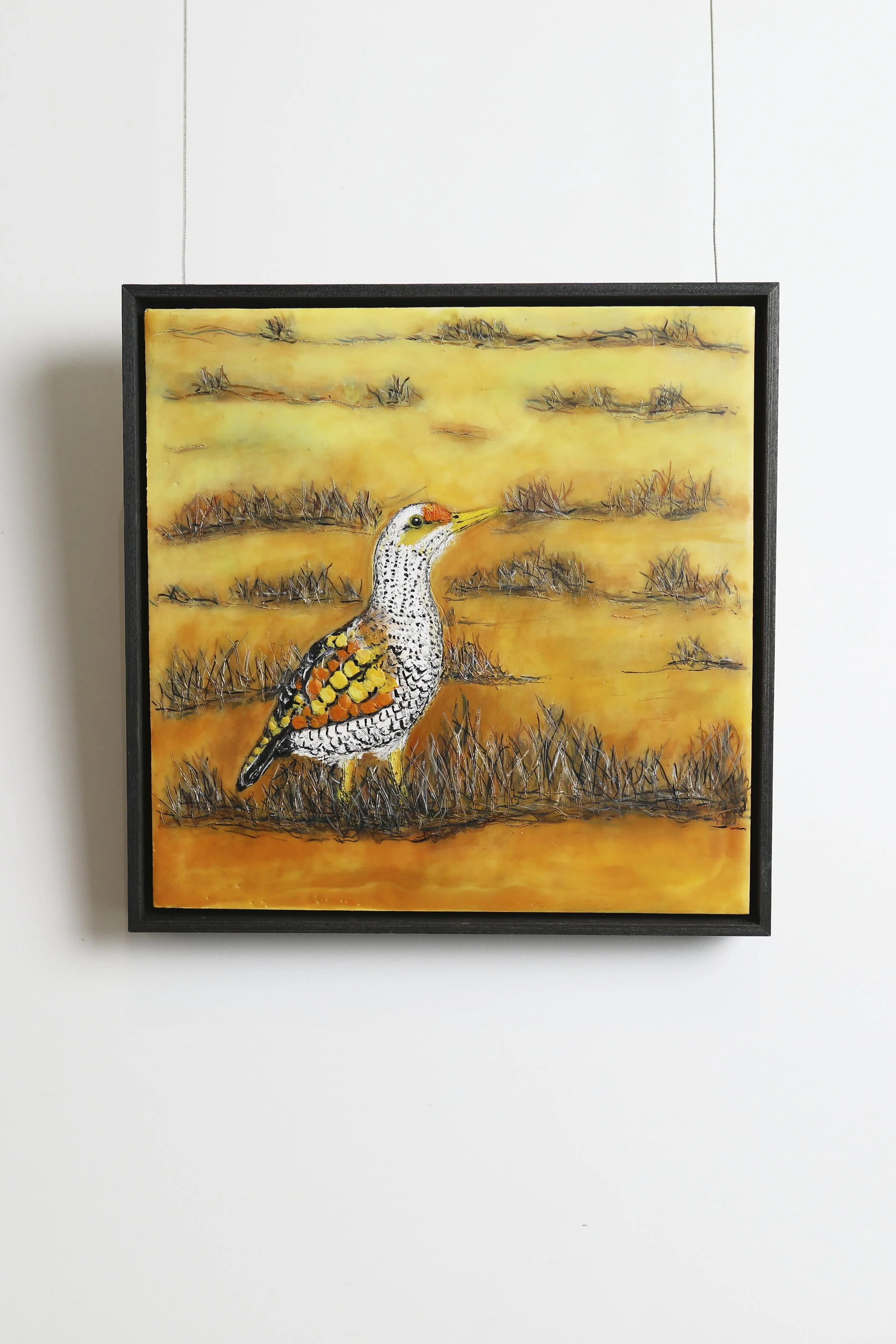 SymphonyofNature-LynMichie 54.jpg