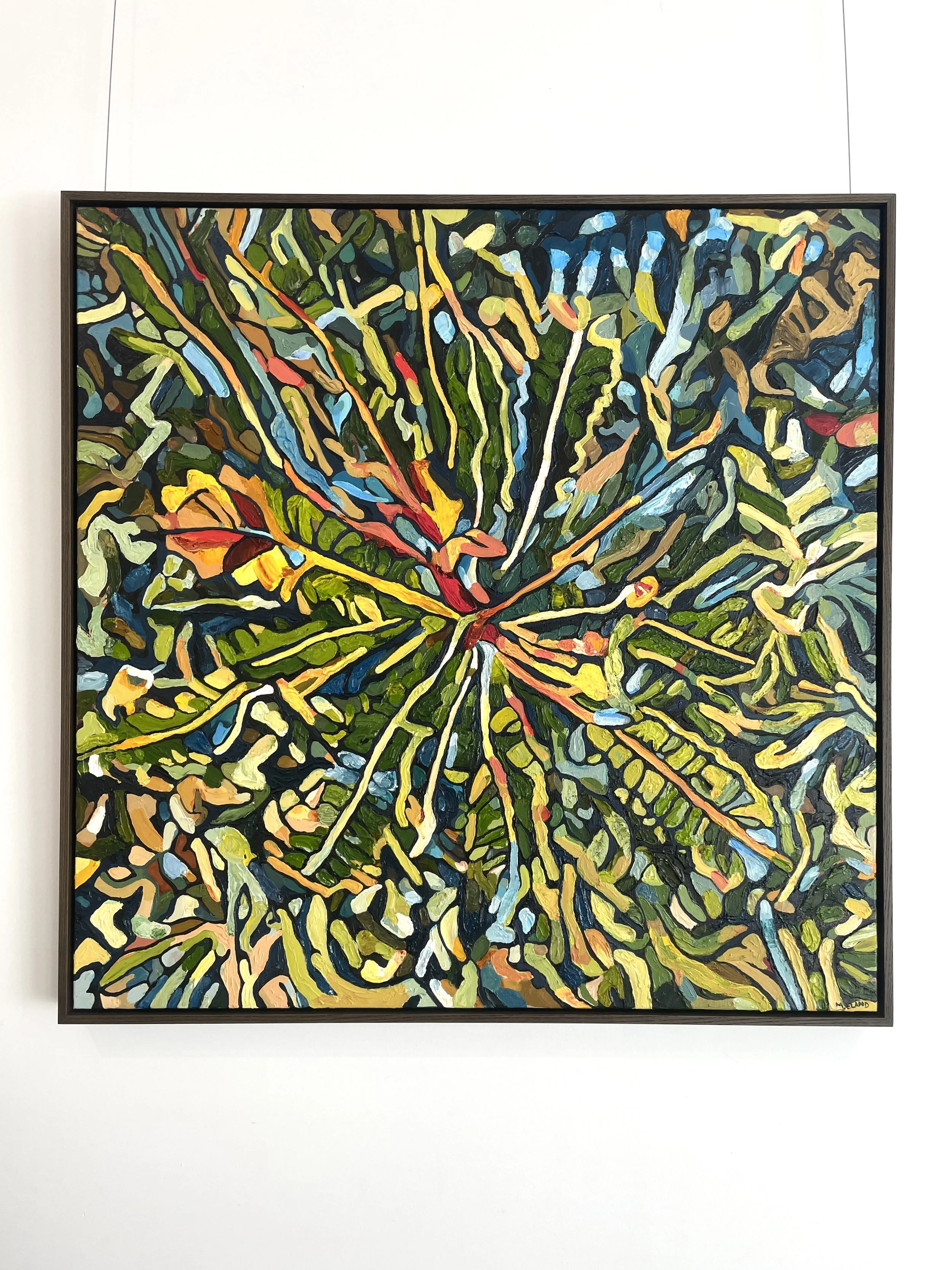 Mark Eland - Early Morning Banksia - Framed.jpg