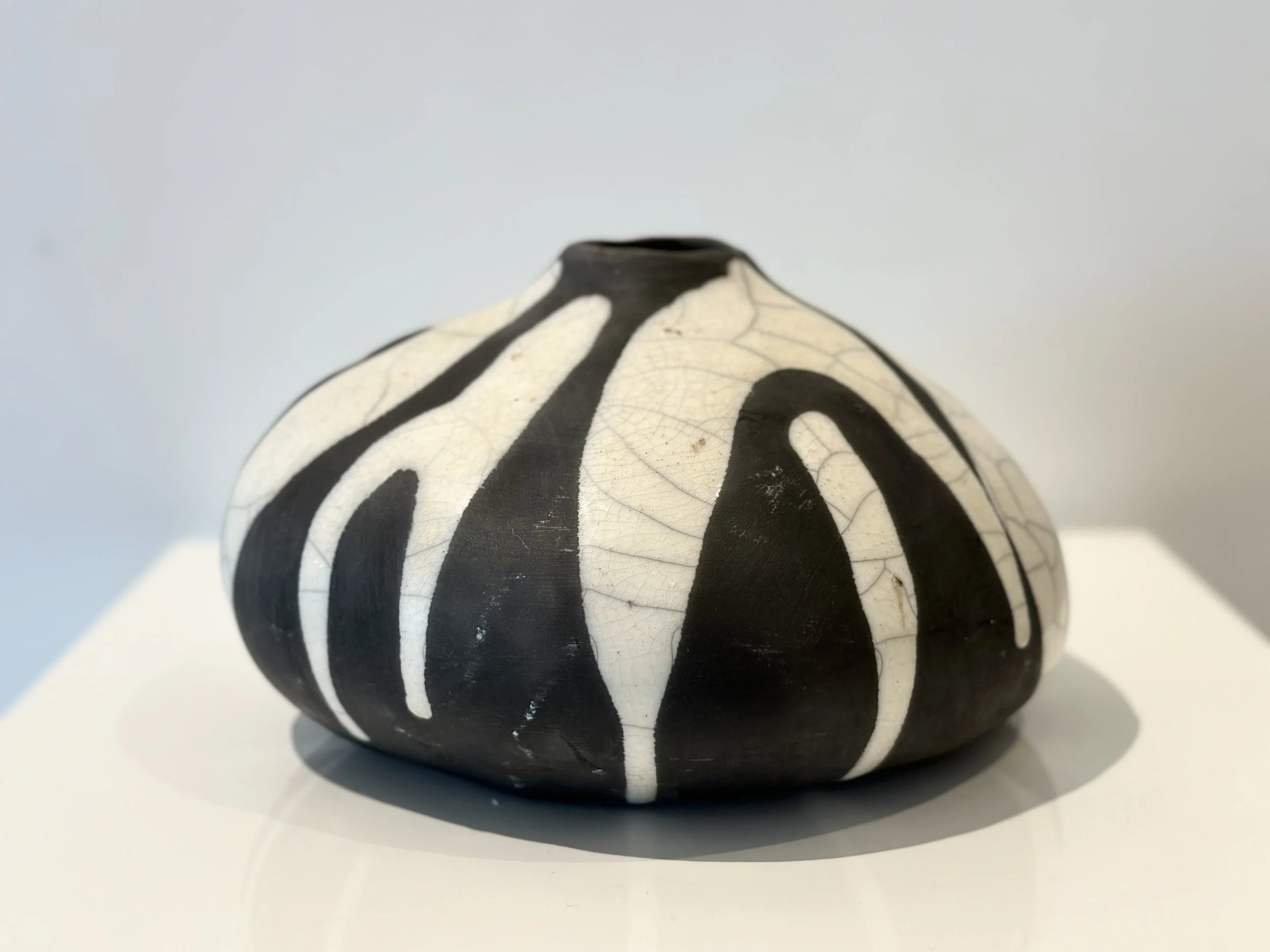 Sarah Larrett Safari 1b.jpg