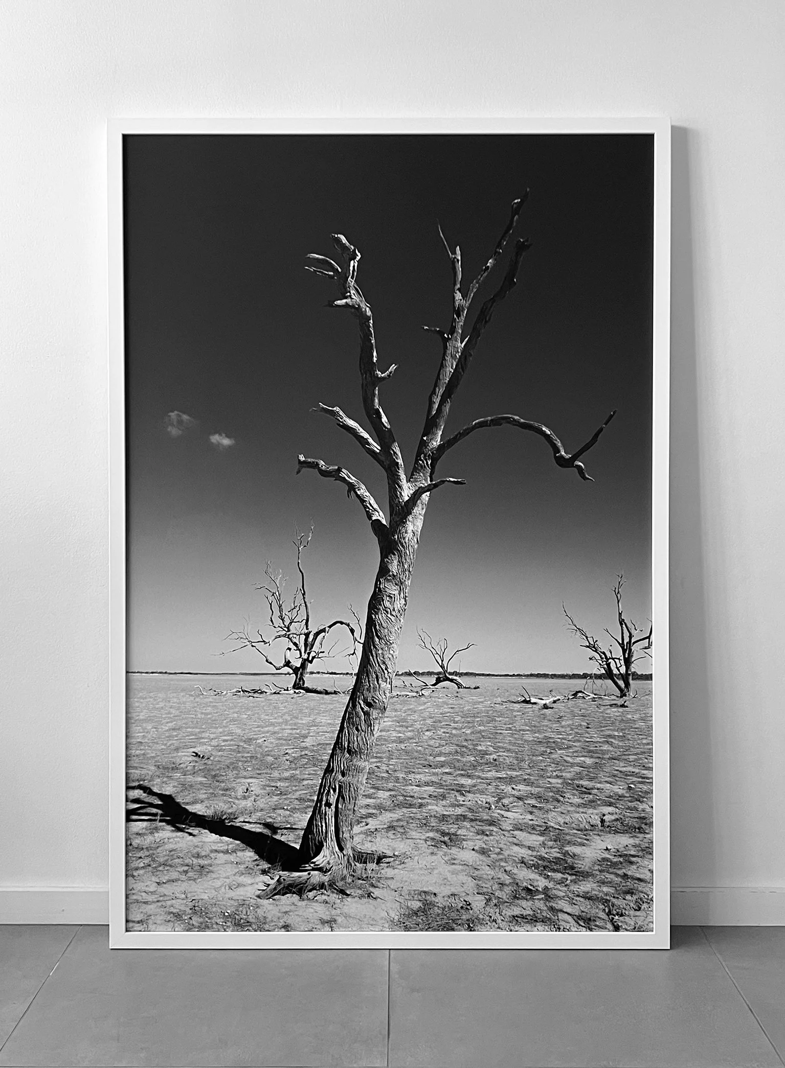 Diego Alvares_Tempo_framed.jpg