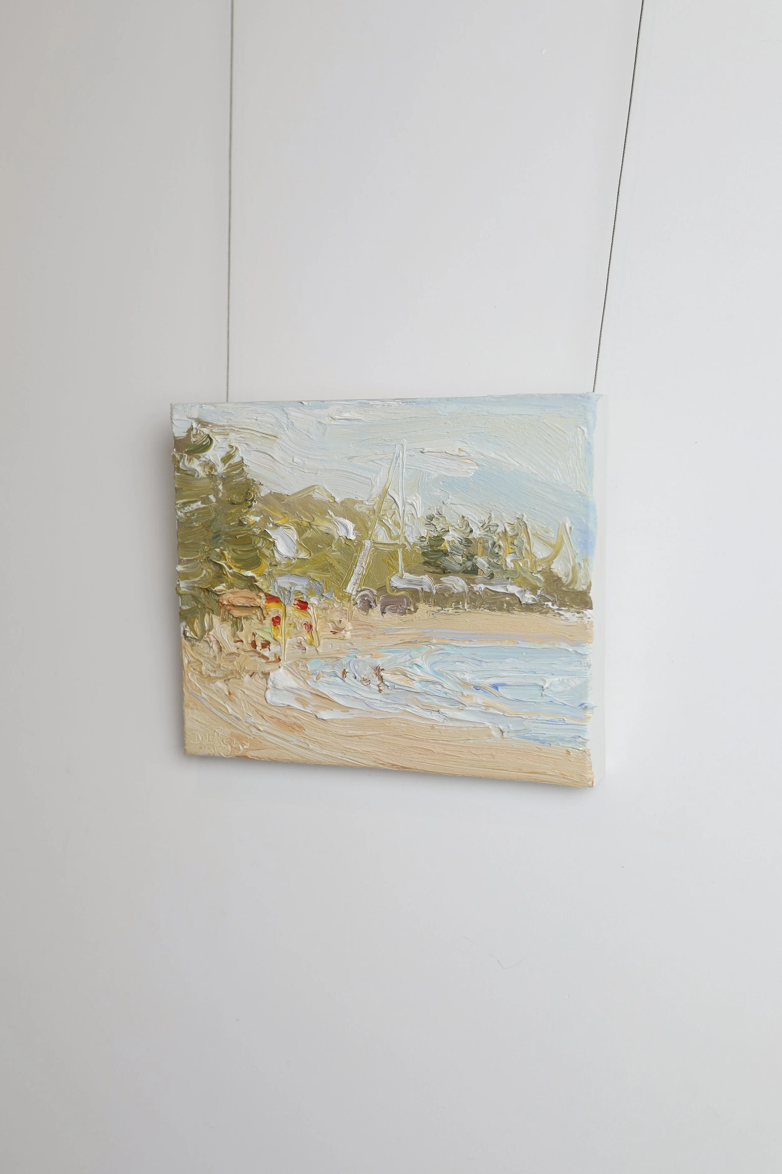 SymphonyofNature-DavidWiggs 20.jpg