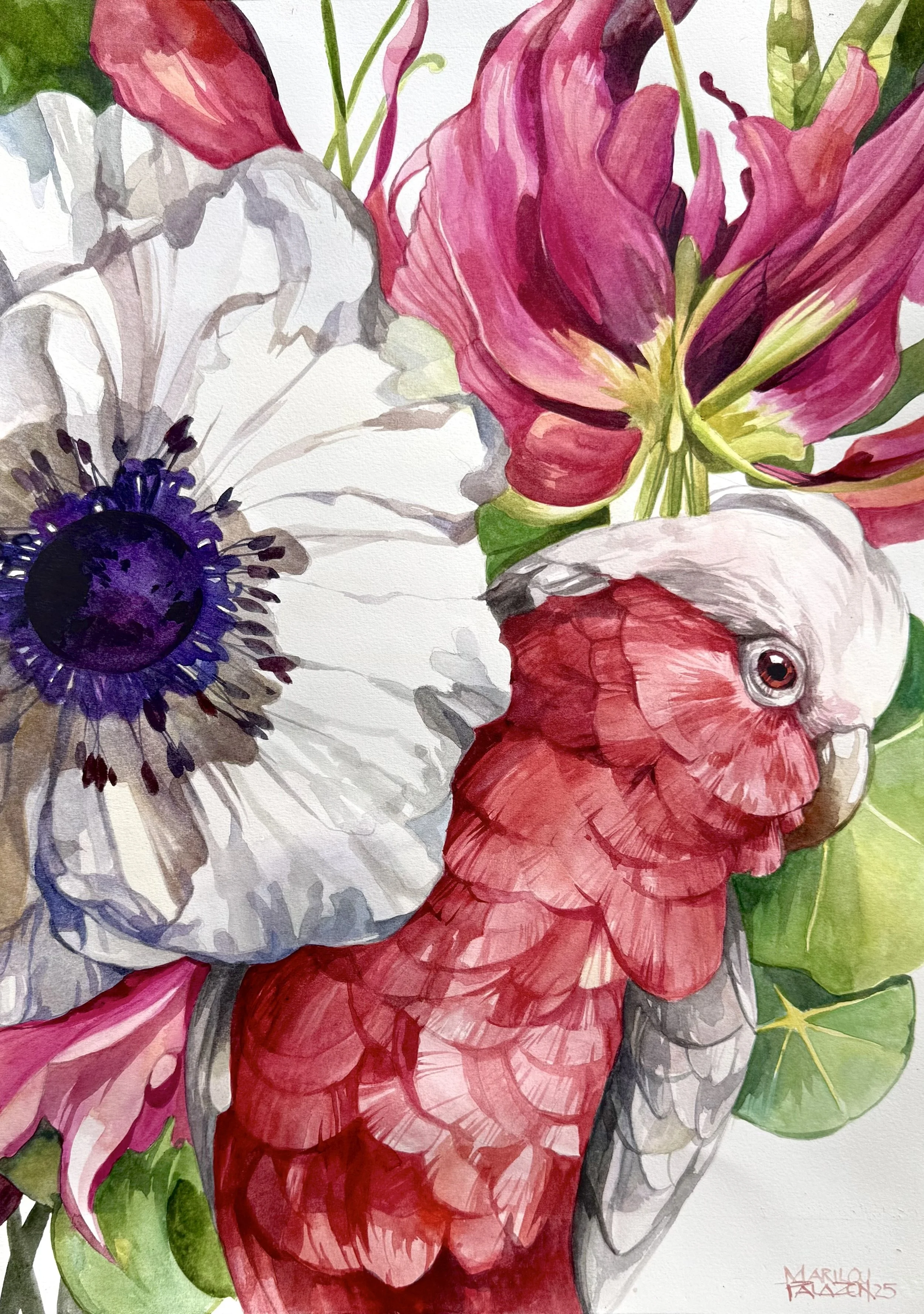 “Abundance” Watercolour on Arche  paper 59.4cmx 42 cmFramed  $ 880.jpg