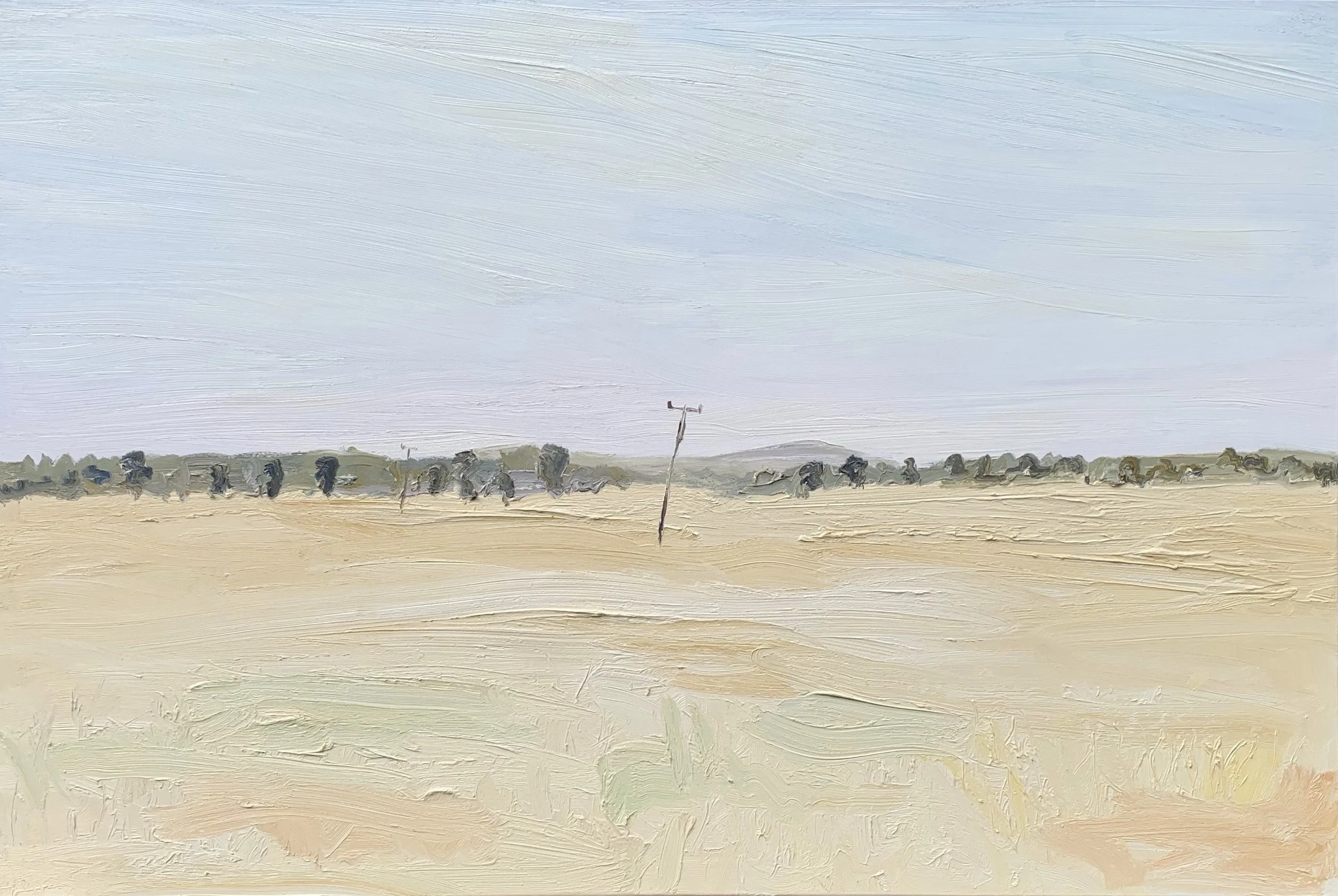 A Fine Line-Ungarie-Plein air-Oil on canvas-122cm x 182cm-$8500.jpg