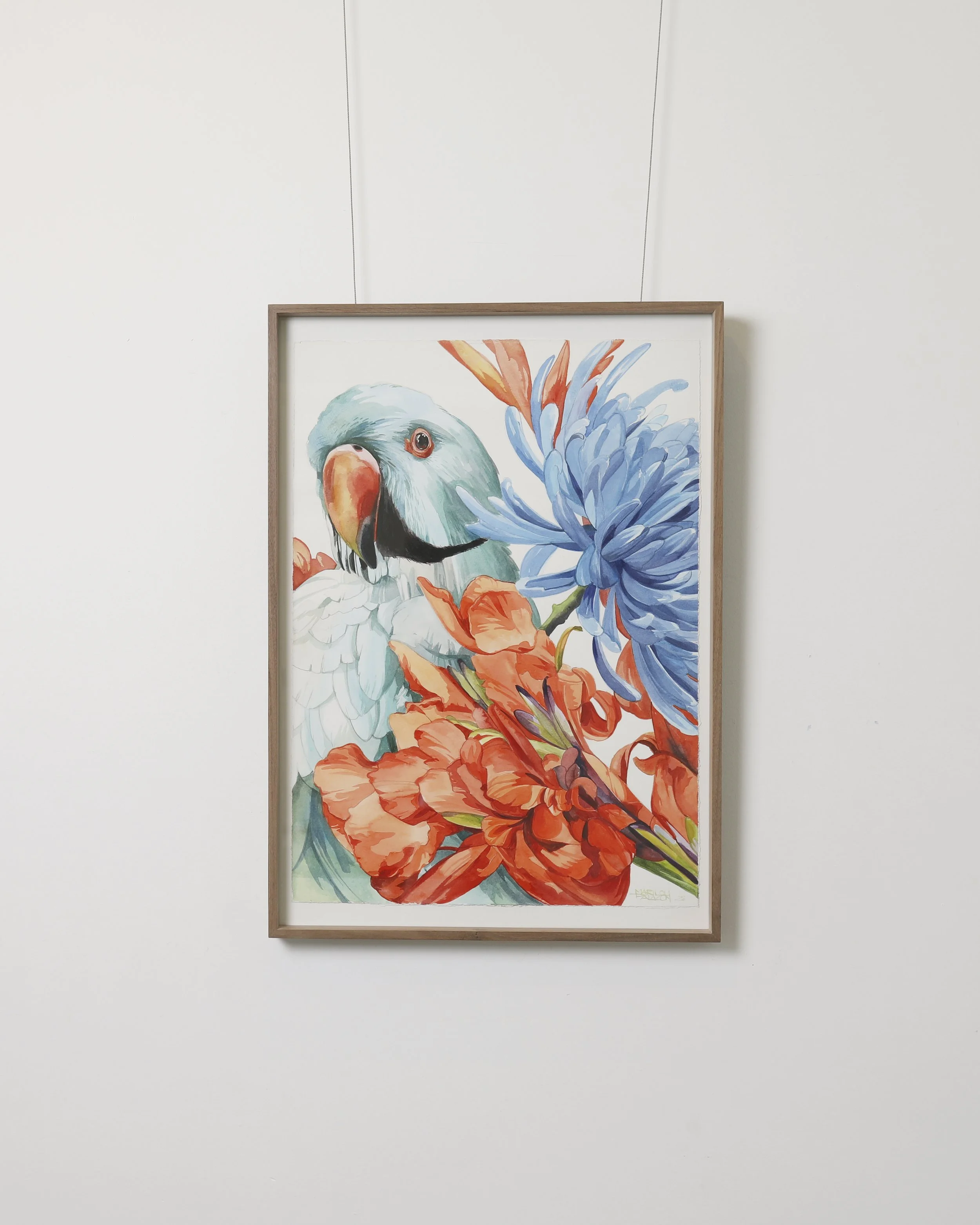 SRG-Nostalgia 21.jpg