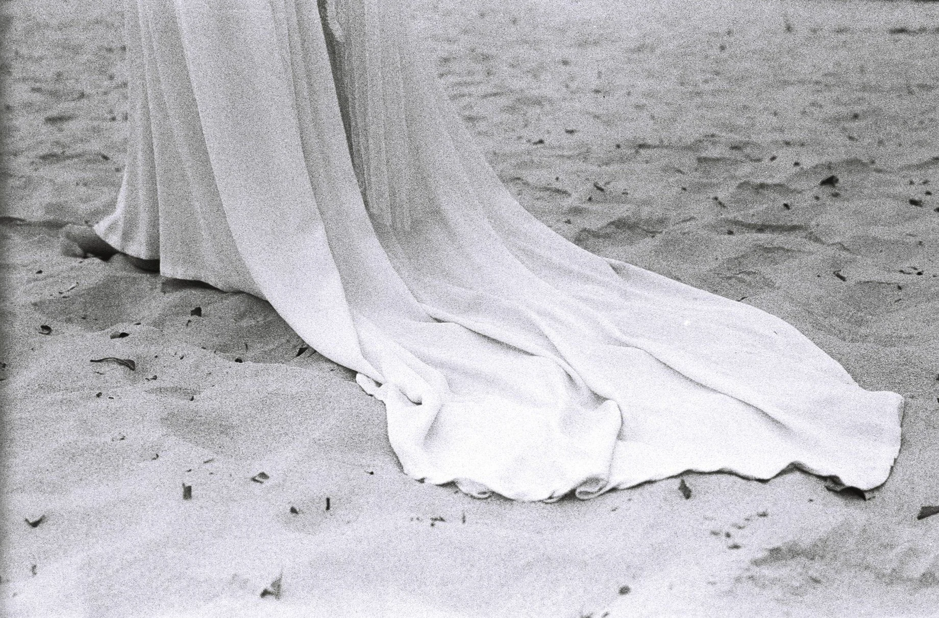 F1000026.jpg