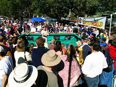 What a crowd! This is me doing a display at the Orara Valley fair in June 2004. A great day was had by all.