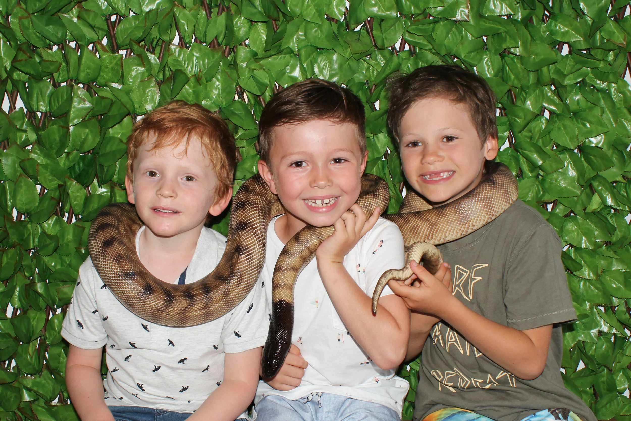 Reptile Centre — Reptile World