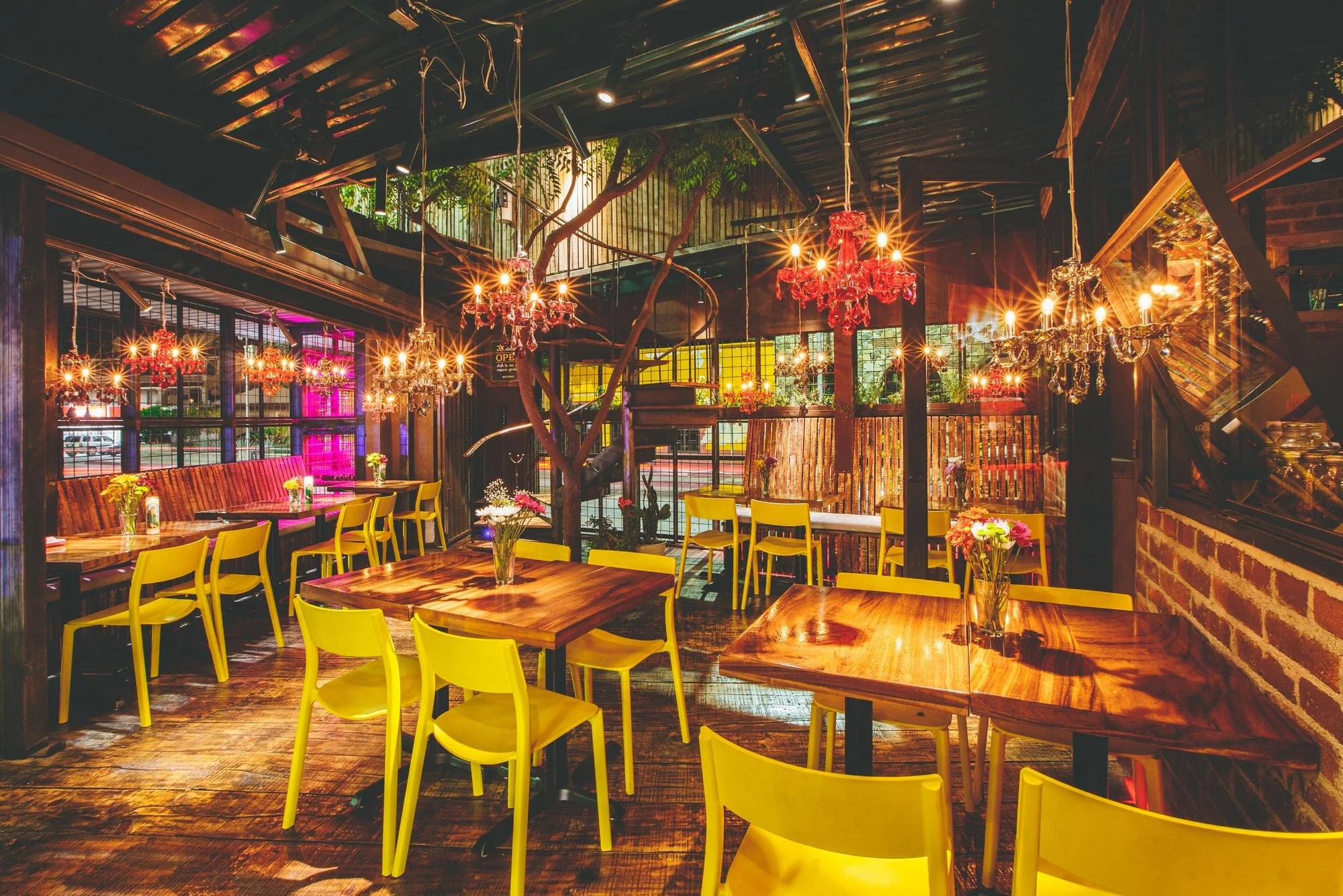 outpost-cabo-restaurant-garden.jpg