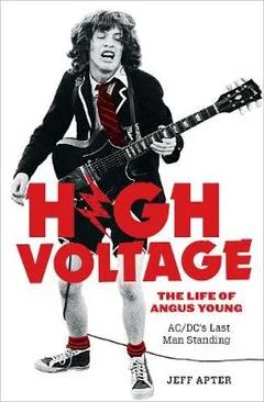 high volatage.jpg