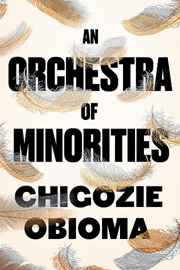 an-orchestra-of-minorities.jpeg