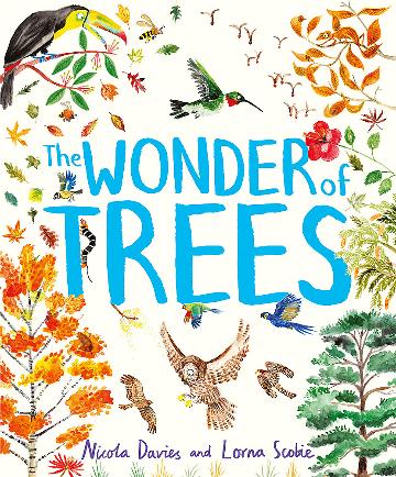 the-wonder-of-trees.jpeg
