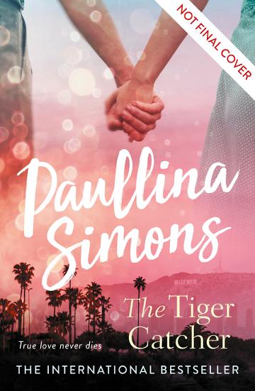 the-tiger-catcher.jpeg
